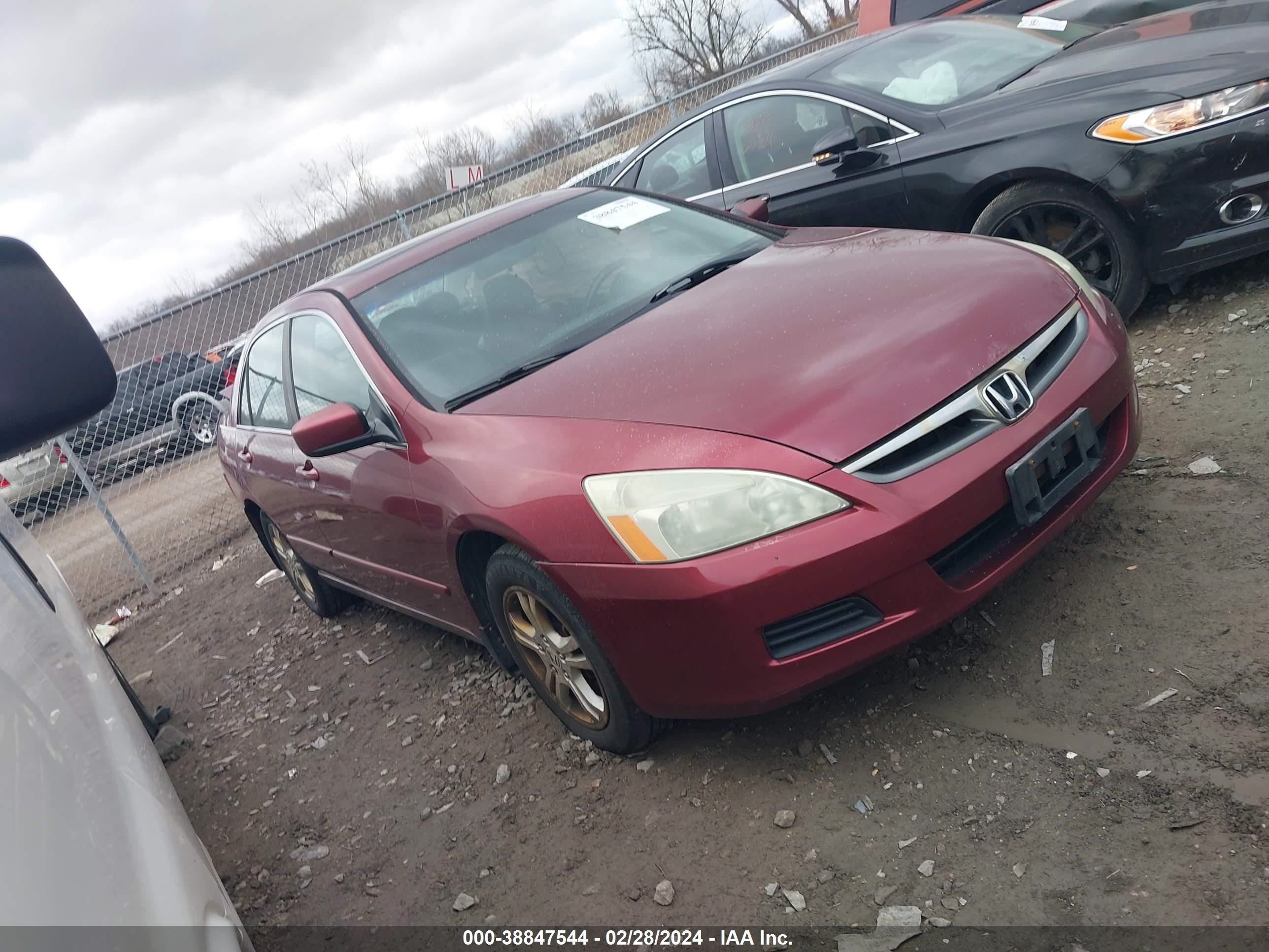 Photo 0 VIN: 1HGCM56836A044378 - HONDA ACCORD 