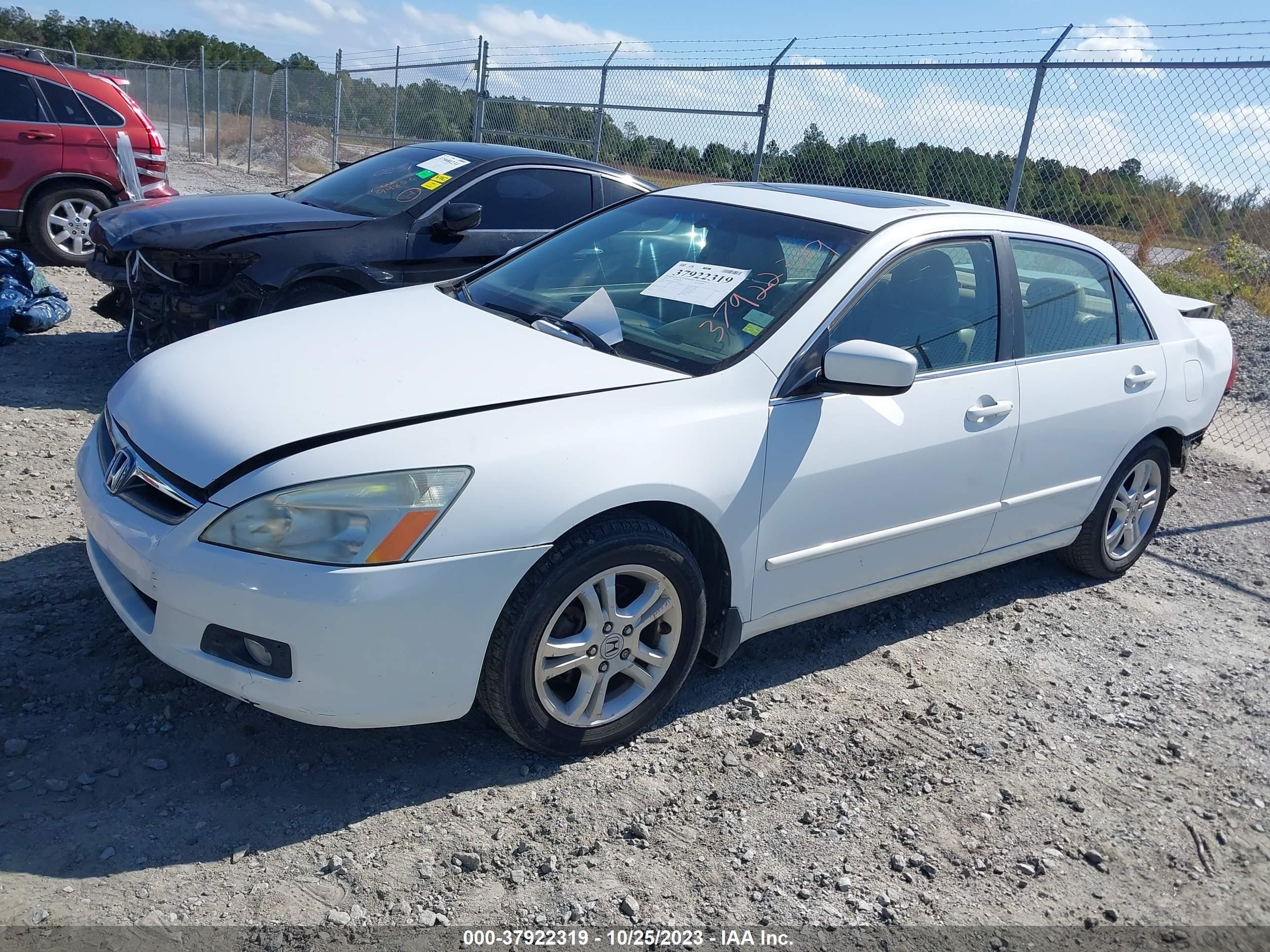 Photo 1 VIN: 1HGCM56837A098605 - HONDA ACCORD 