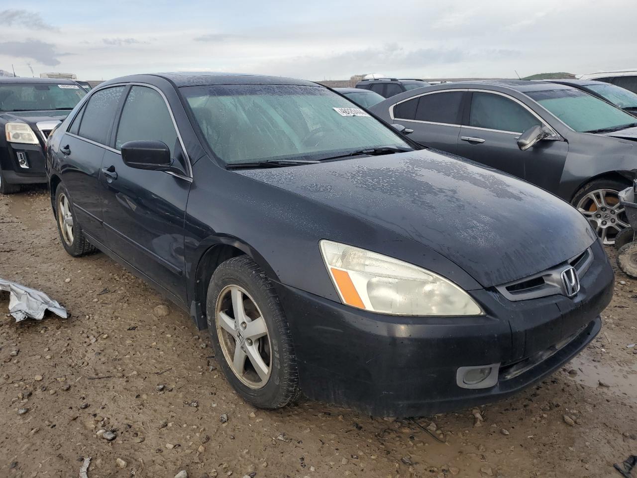 Photo 3 VIN: 1HGCM56845A087660 - HONDA ACCORD 