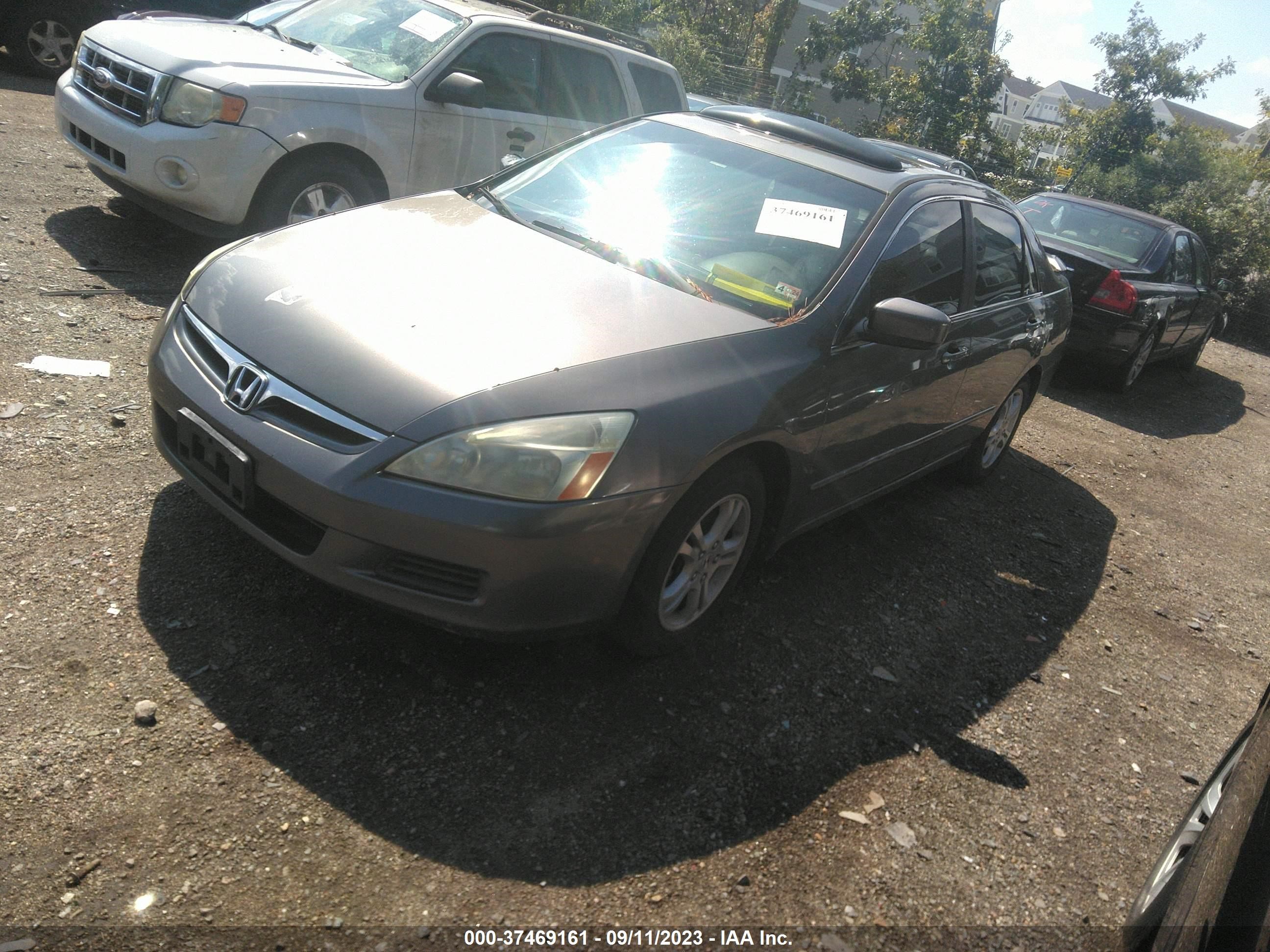 Photo 1 VIN: 1HGCM56846A074828 - HONDA ACCORD 