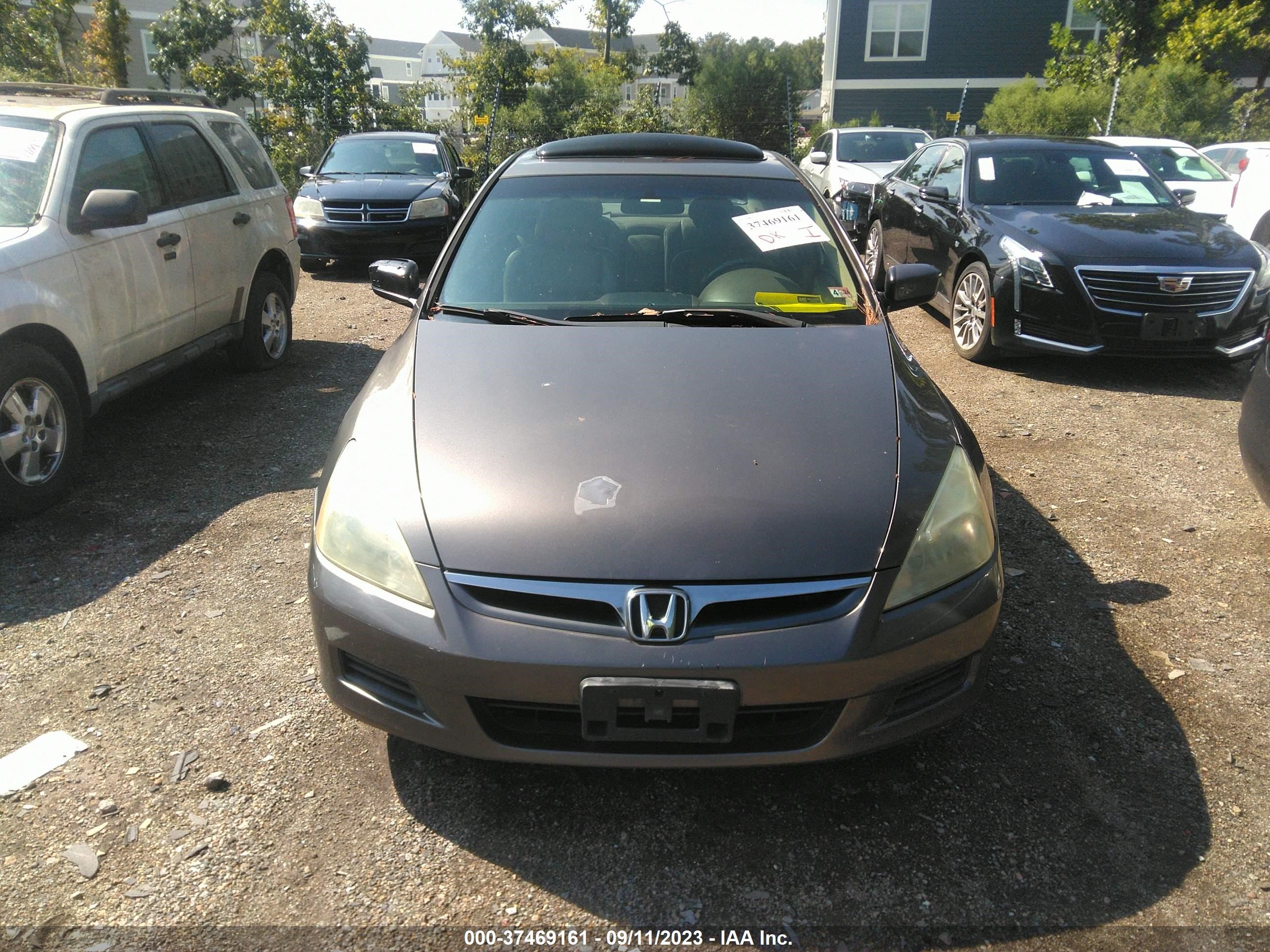 Photo 11 VIN: 1HGCM56846A074828 - HONDA ACCORD 