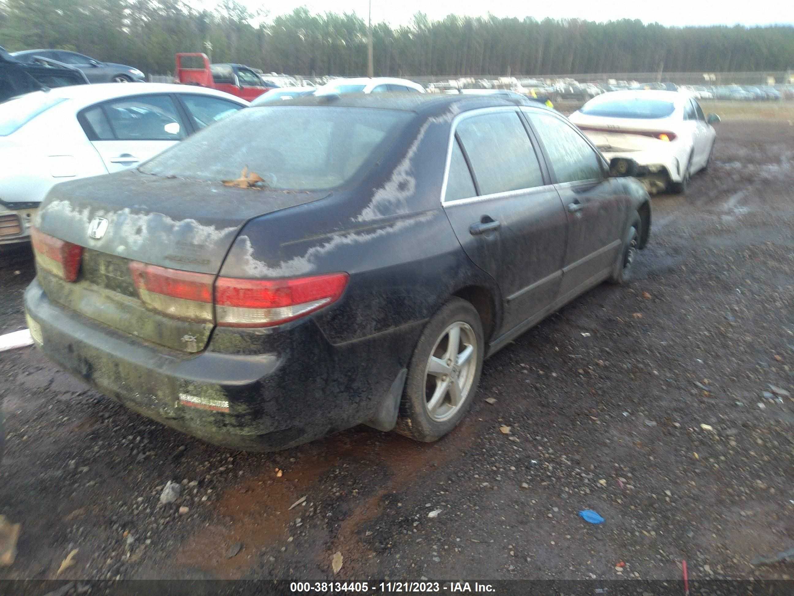 Photo 3 VIN: 1HGCM56854A059235 - HONDA ACCORD 