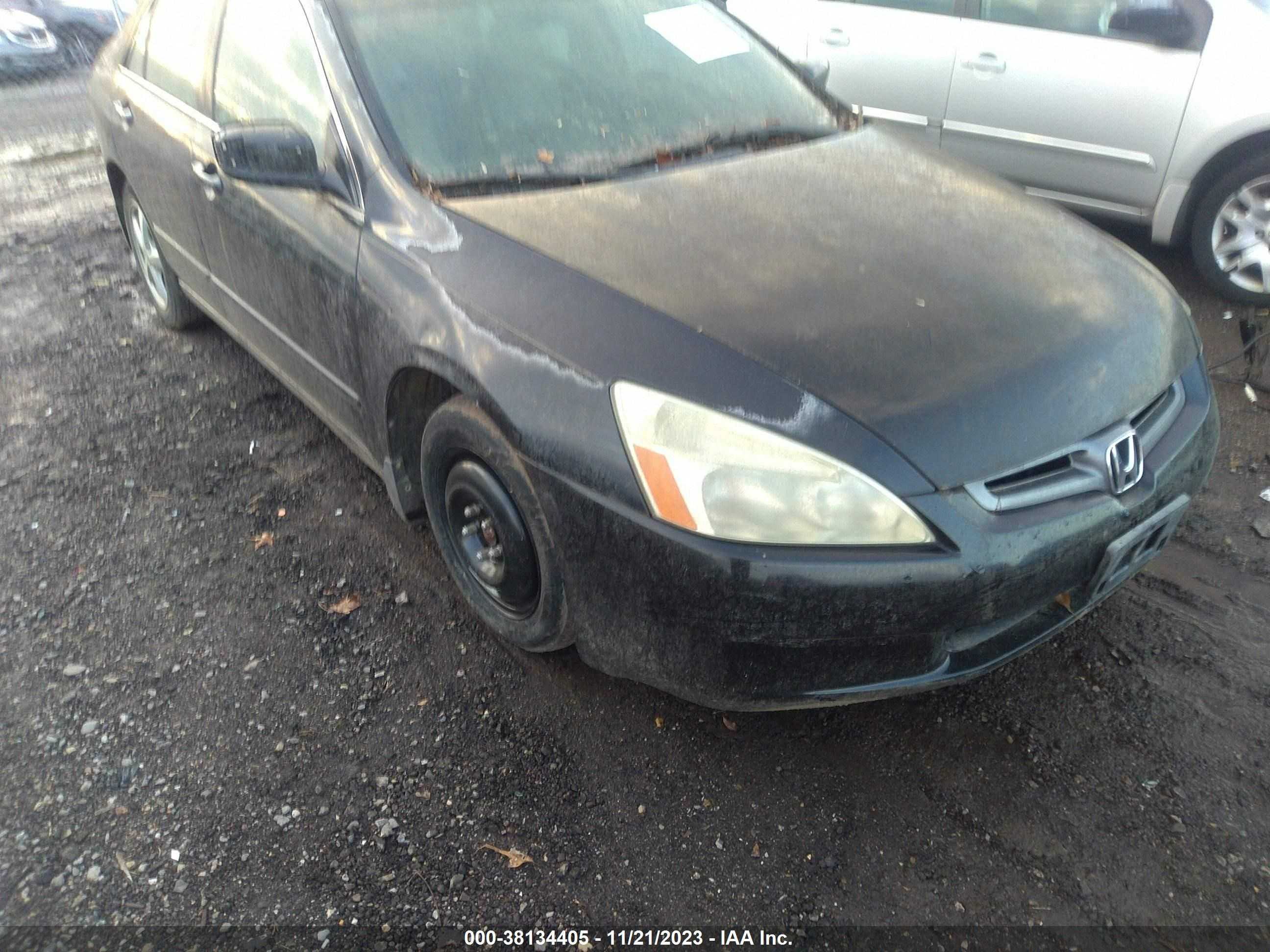 Photo 5 VIN: 1HGCM56854A059235 - HONDA ACCORD 