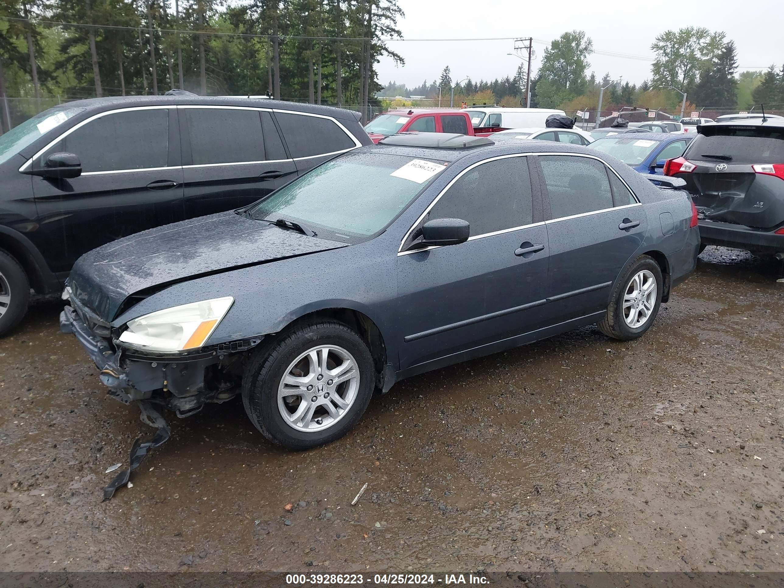 Photo 1 VIN: 1HGCM56857A116554 - HONDA ACCORD 