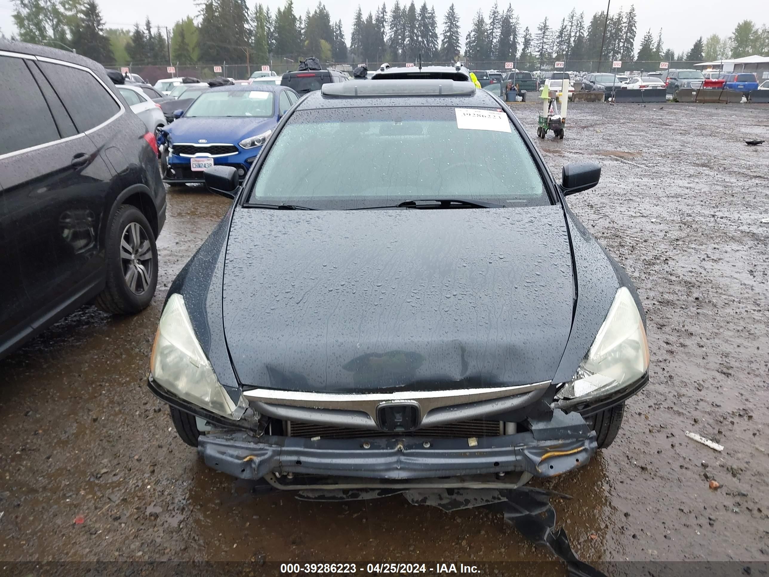 Photo 10 VIN: 1HGCM56857A116554 - HONDA ACCORD 