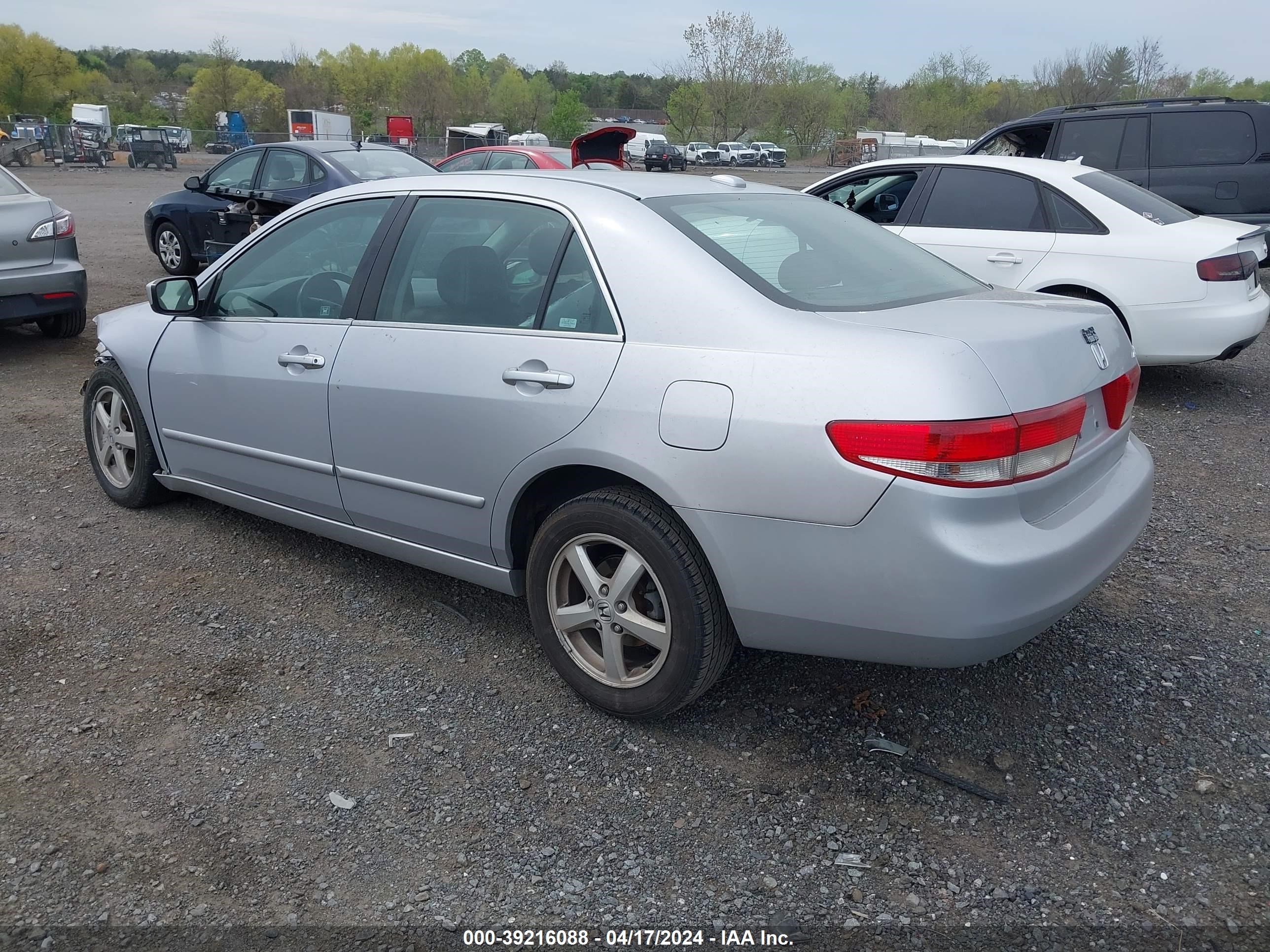 Photo 2 VIN: 1HGCM56864A006379 - HONDA ACCORD 