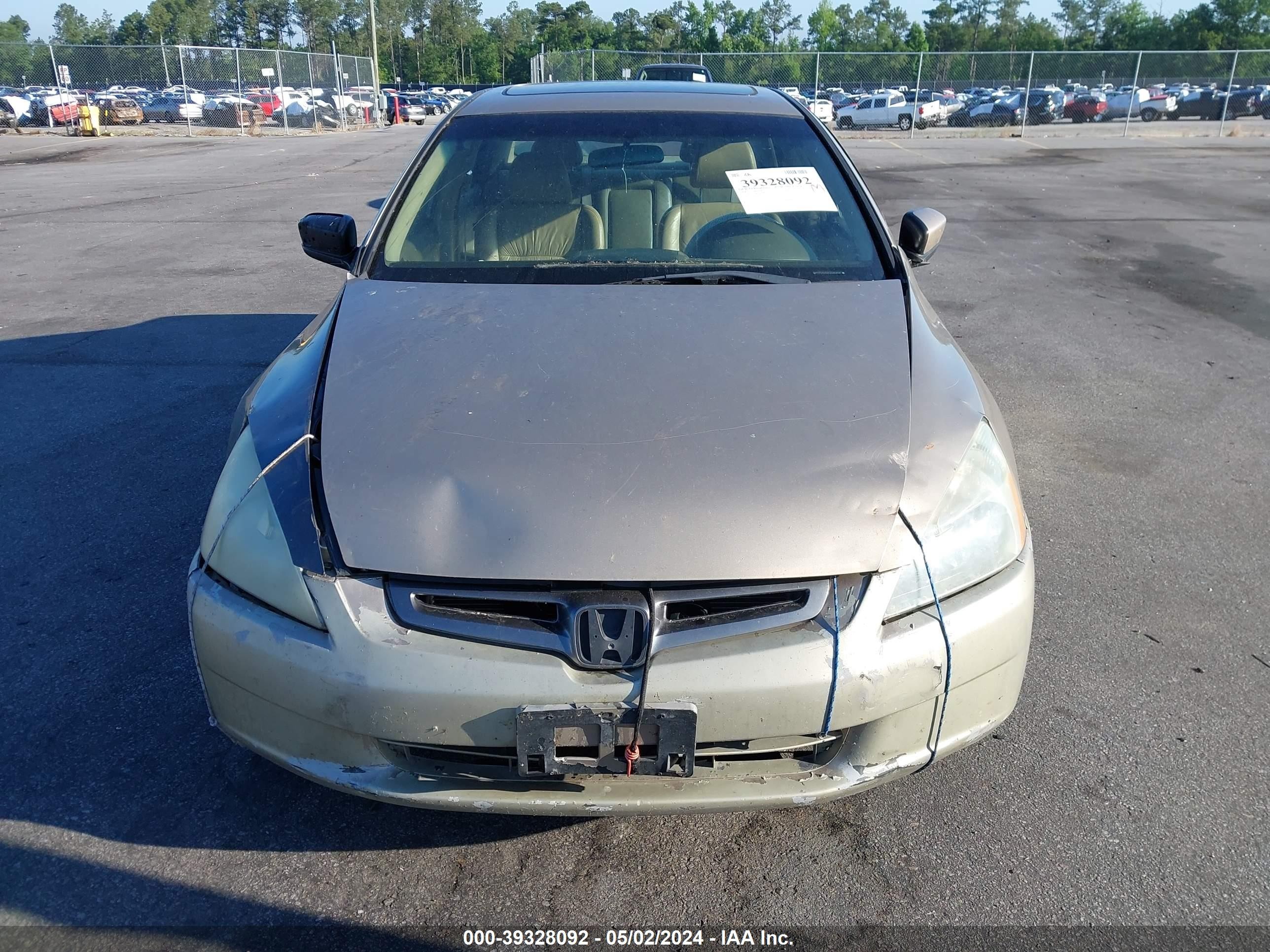 Photo 5 VIN: 1HGCM56864A024641 - HONDA ACCORD 