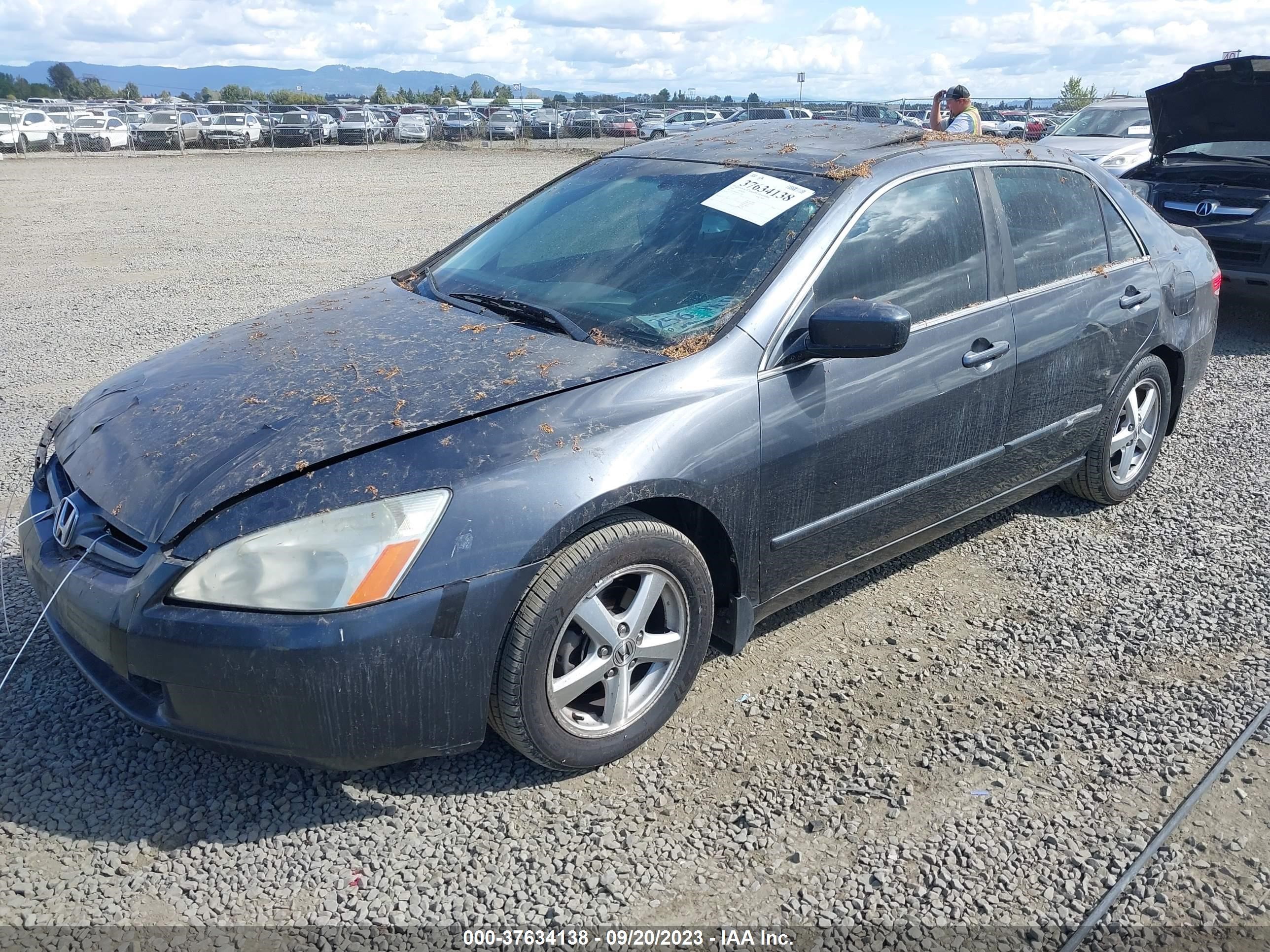 Photo 1 VIN: 1HGCM56864A131964 - HONDA ACCORD 