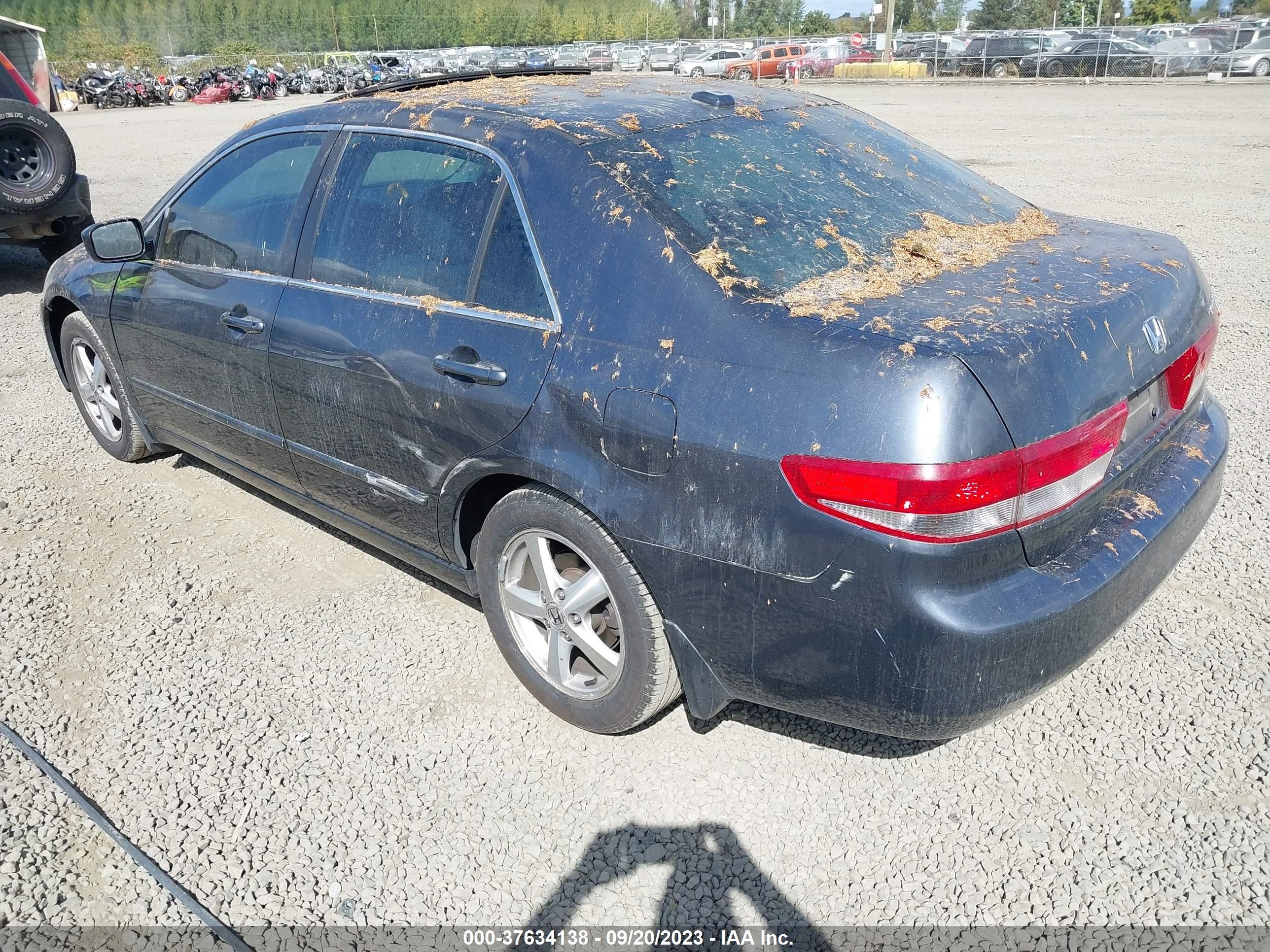 Photo 2 VIN: 1HGCM56864A131964 - HONDA ACCORD 