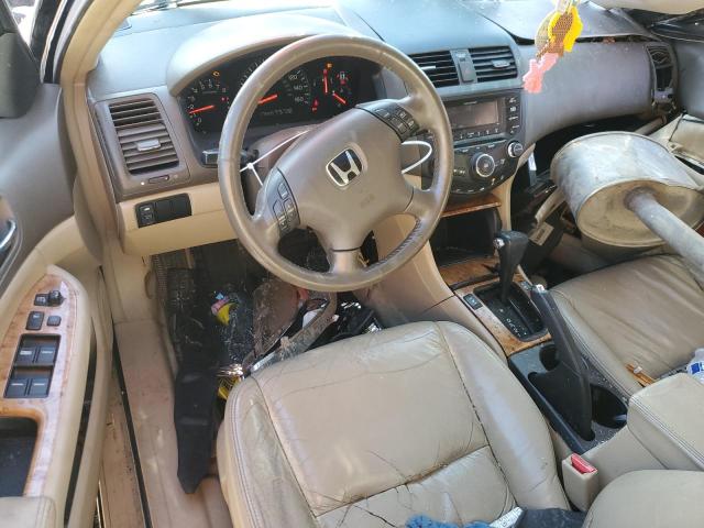 Photo 7 VIN: 1HGCM56864A132807 - HONDA ACCORD 