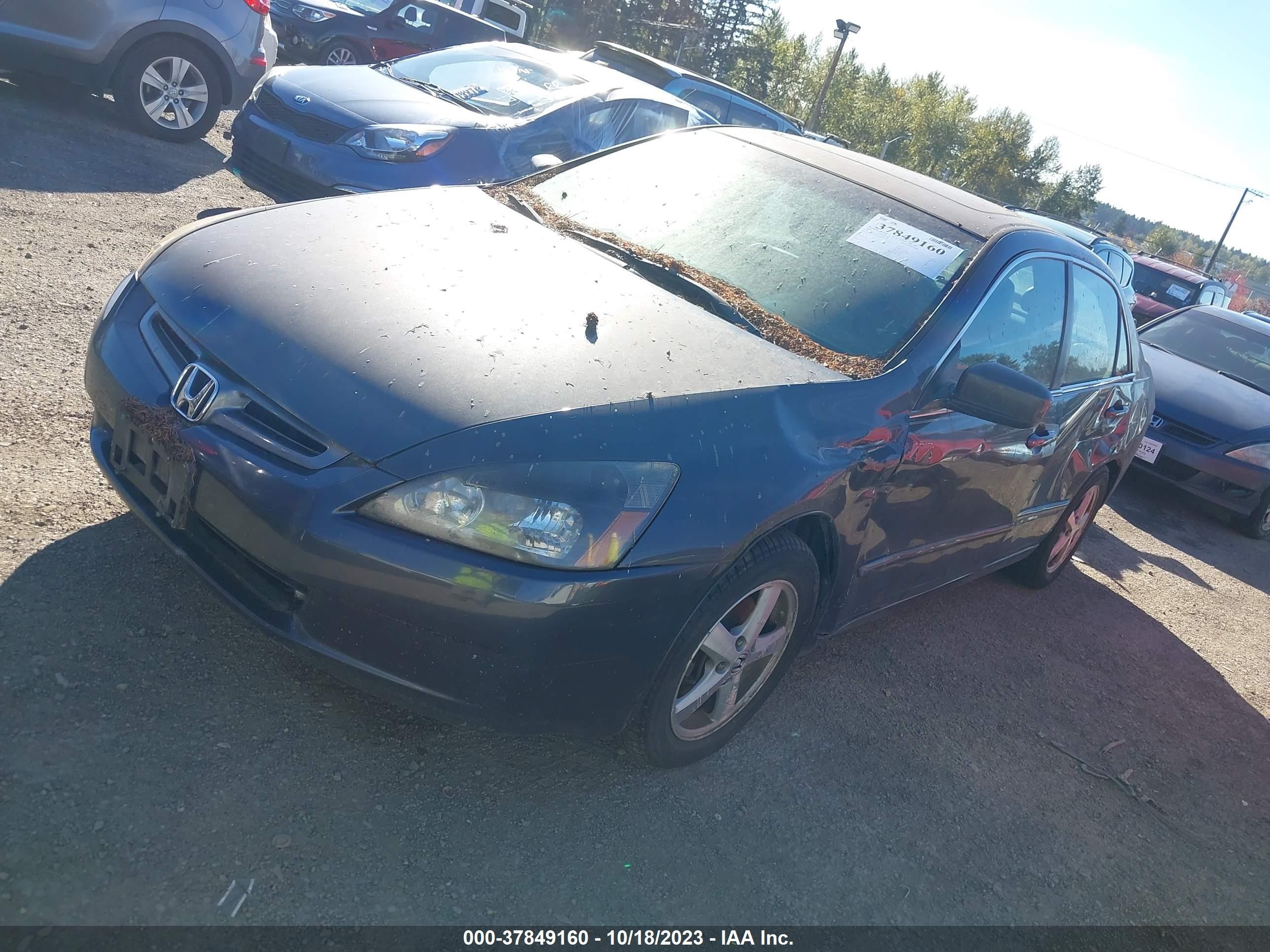 Photo 1 VIN: 1HGCM56885A128565 - HONDA ACCORD 