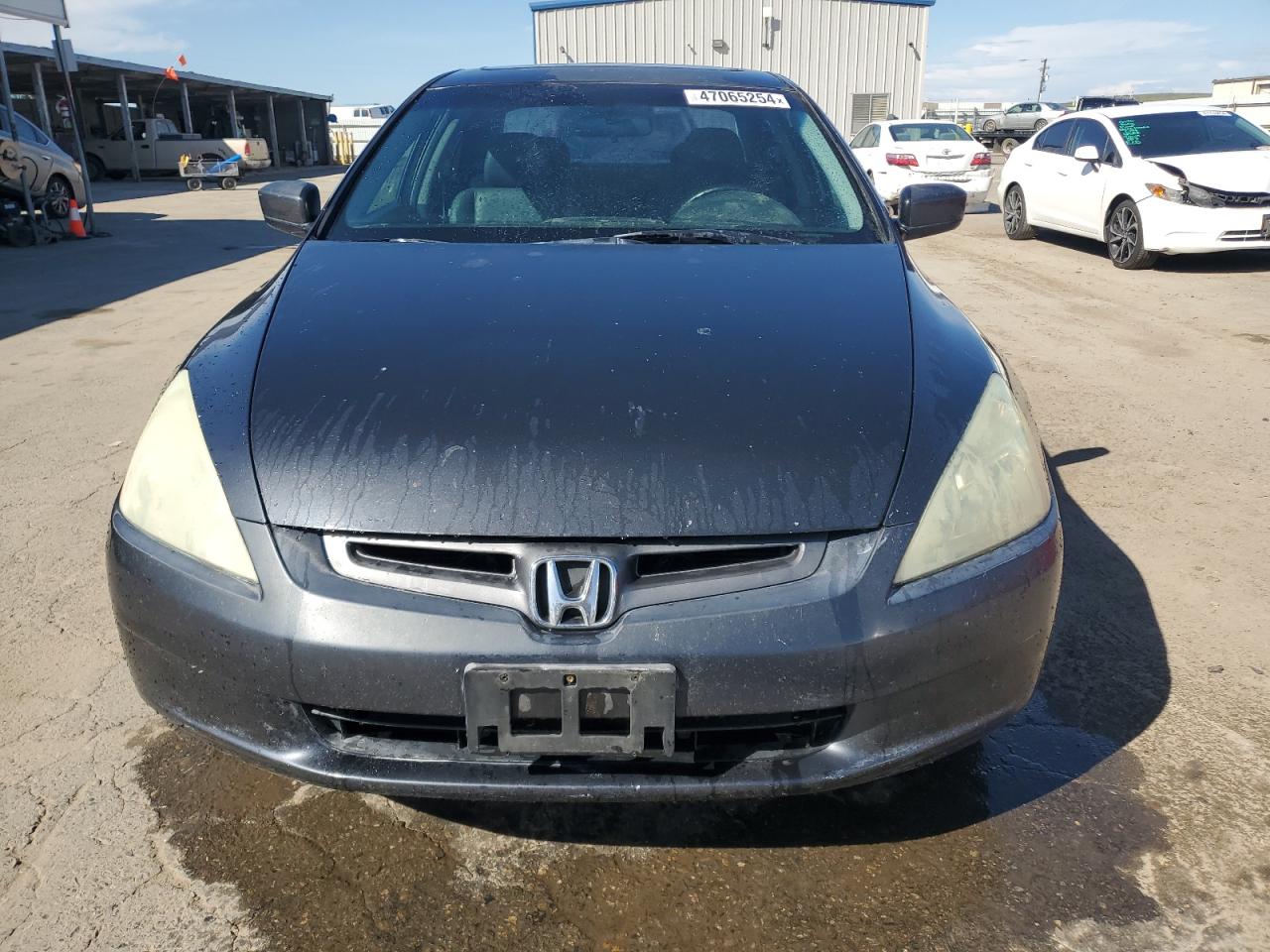 Photo 4 VIN: 1HGCM56895A192419 - HONDA ACCORD 