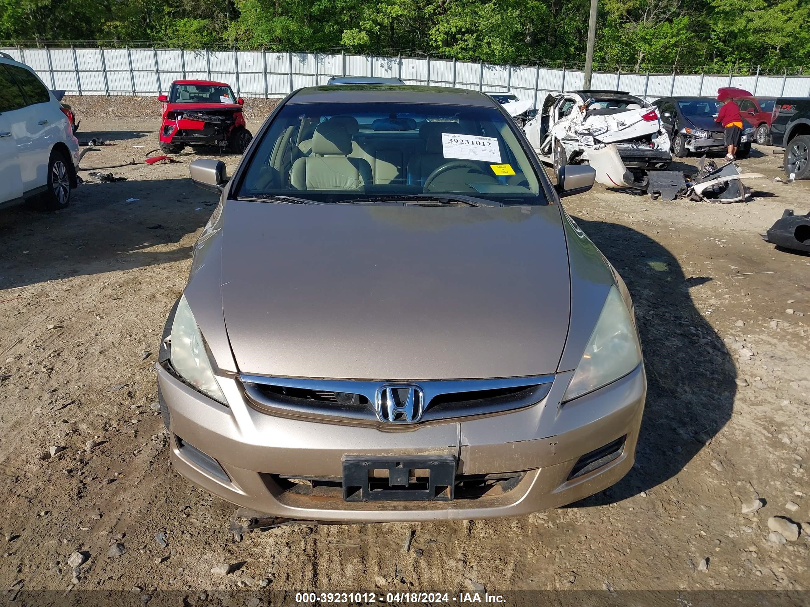 Photo 11 VIN: 1HGCM56896A022515 - HONDA ACCORD 