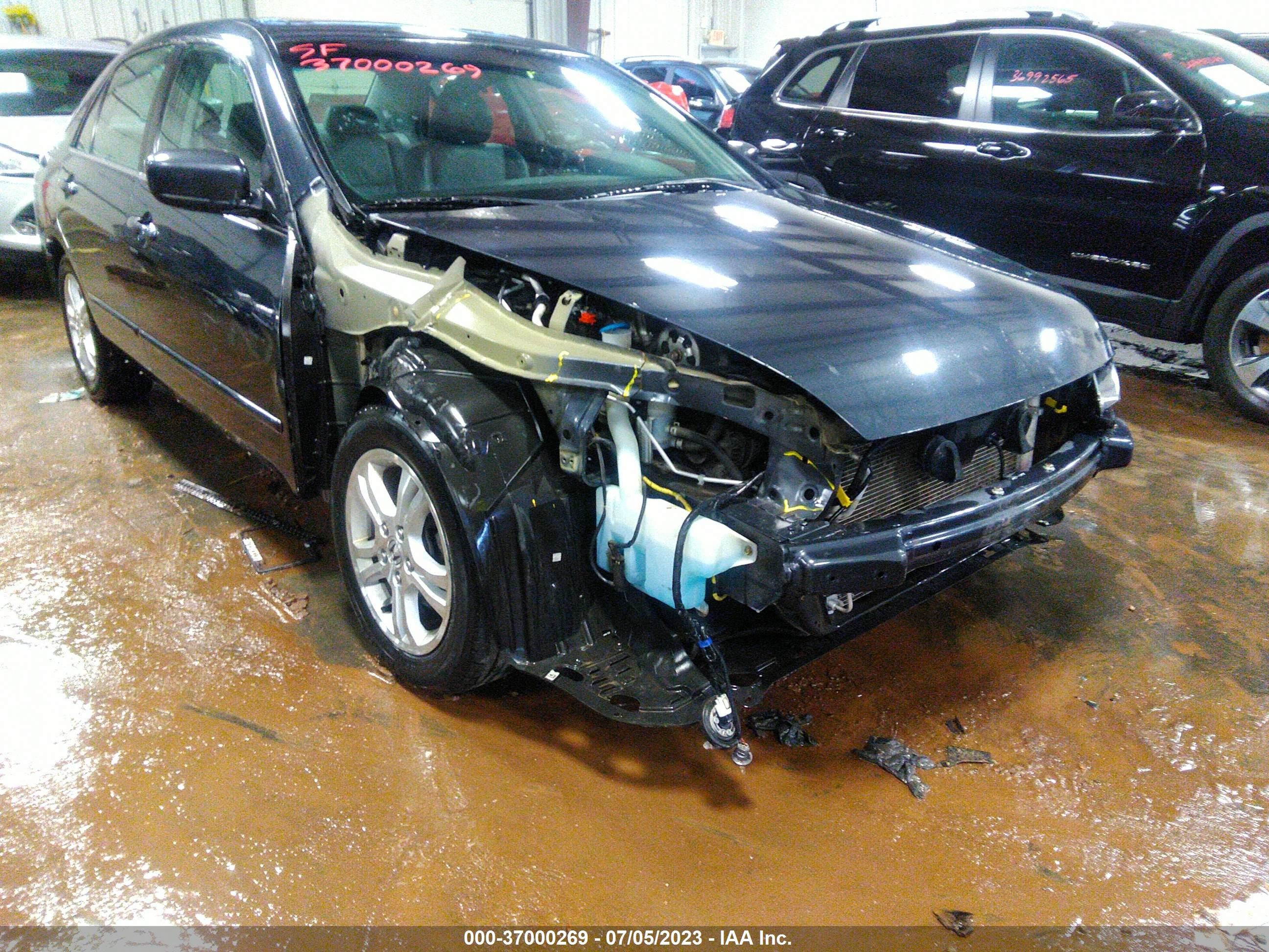 Photo 5 VIN: 1HGCM56896A039735 - HONDA ACCORD 