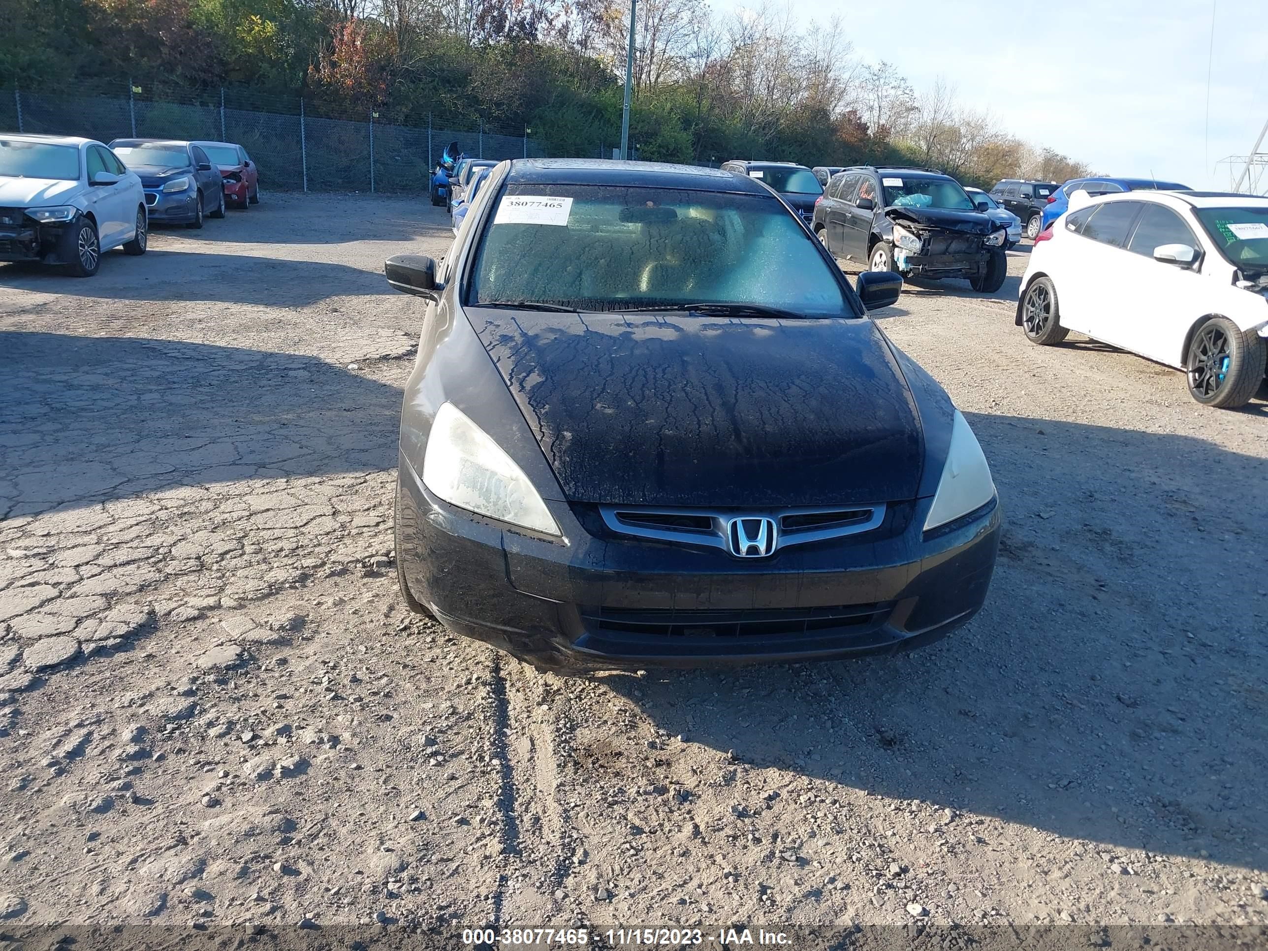 Photo 5 VIN: 1HGCM568X4A058372 - HONDA ACCORD 