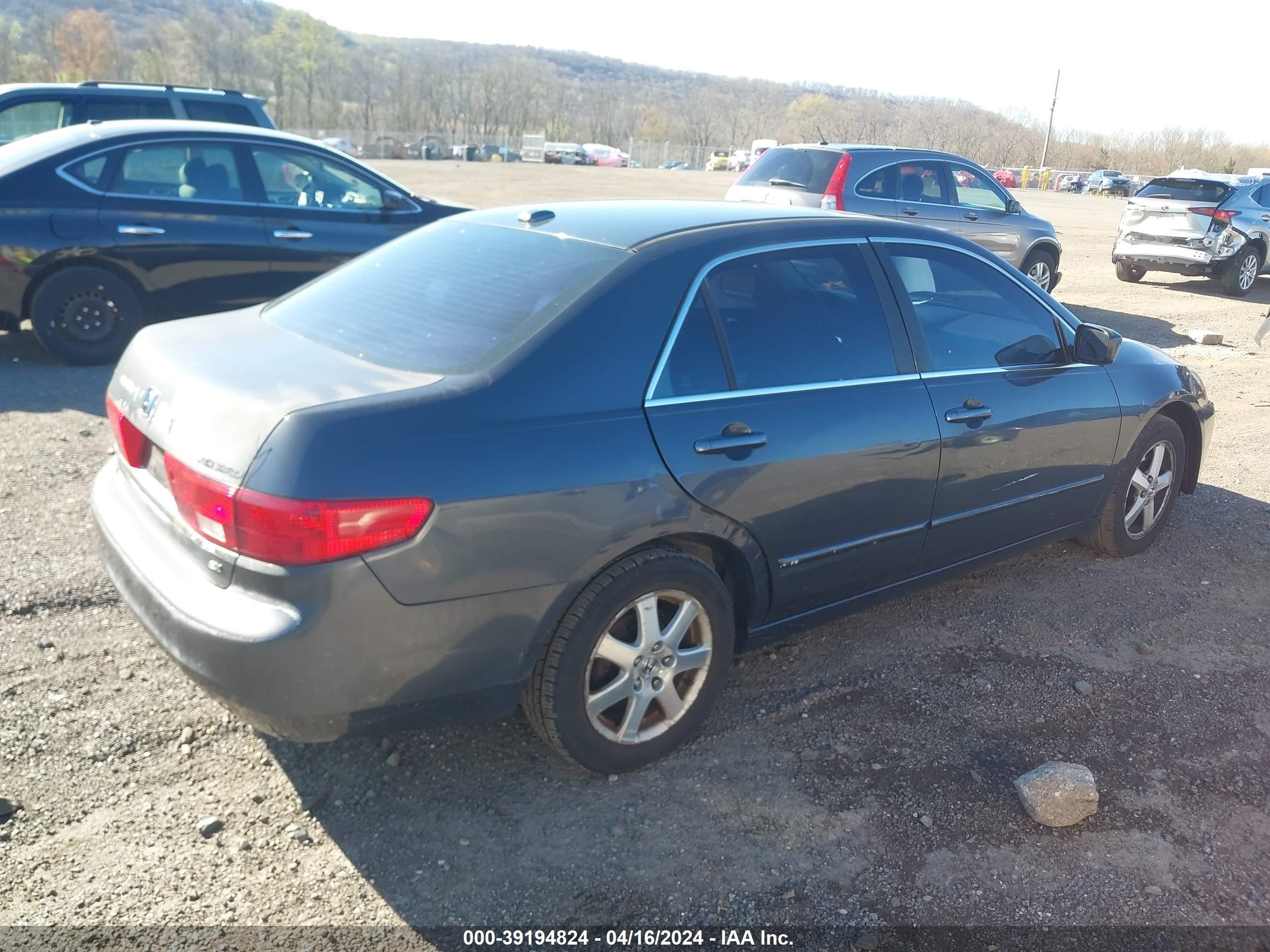 Photo 3 VIN: 1HGCM568X5A022196 - HONDA ACCORD 