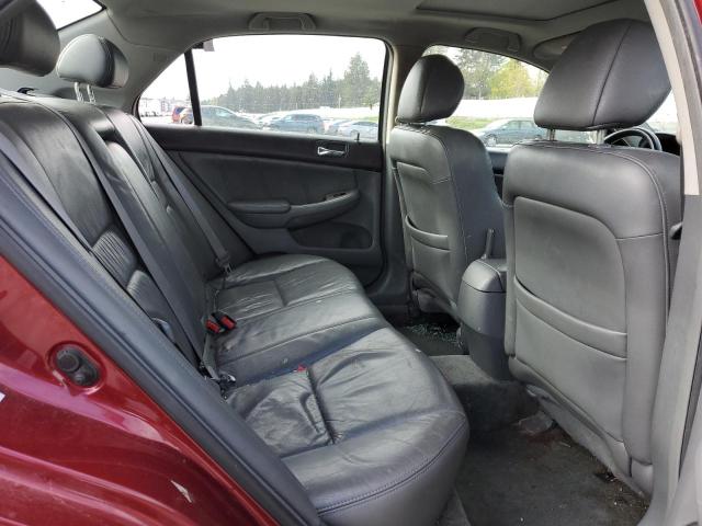 Photo 9 VIN: 1HGCM568X6A064983 - HONDA ACCORD 