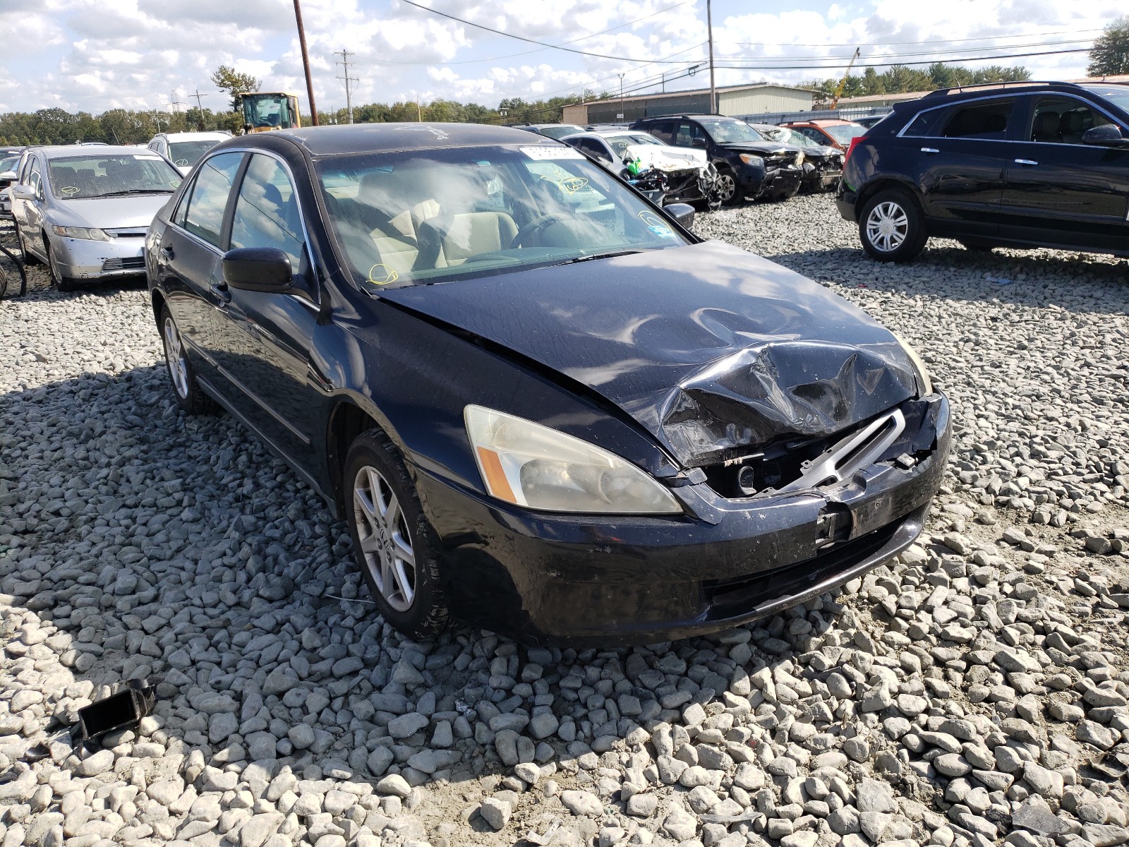 Photo 0 VIN: 1HGCM66384A065959 - HONDA ACCORD LX 