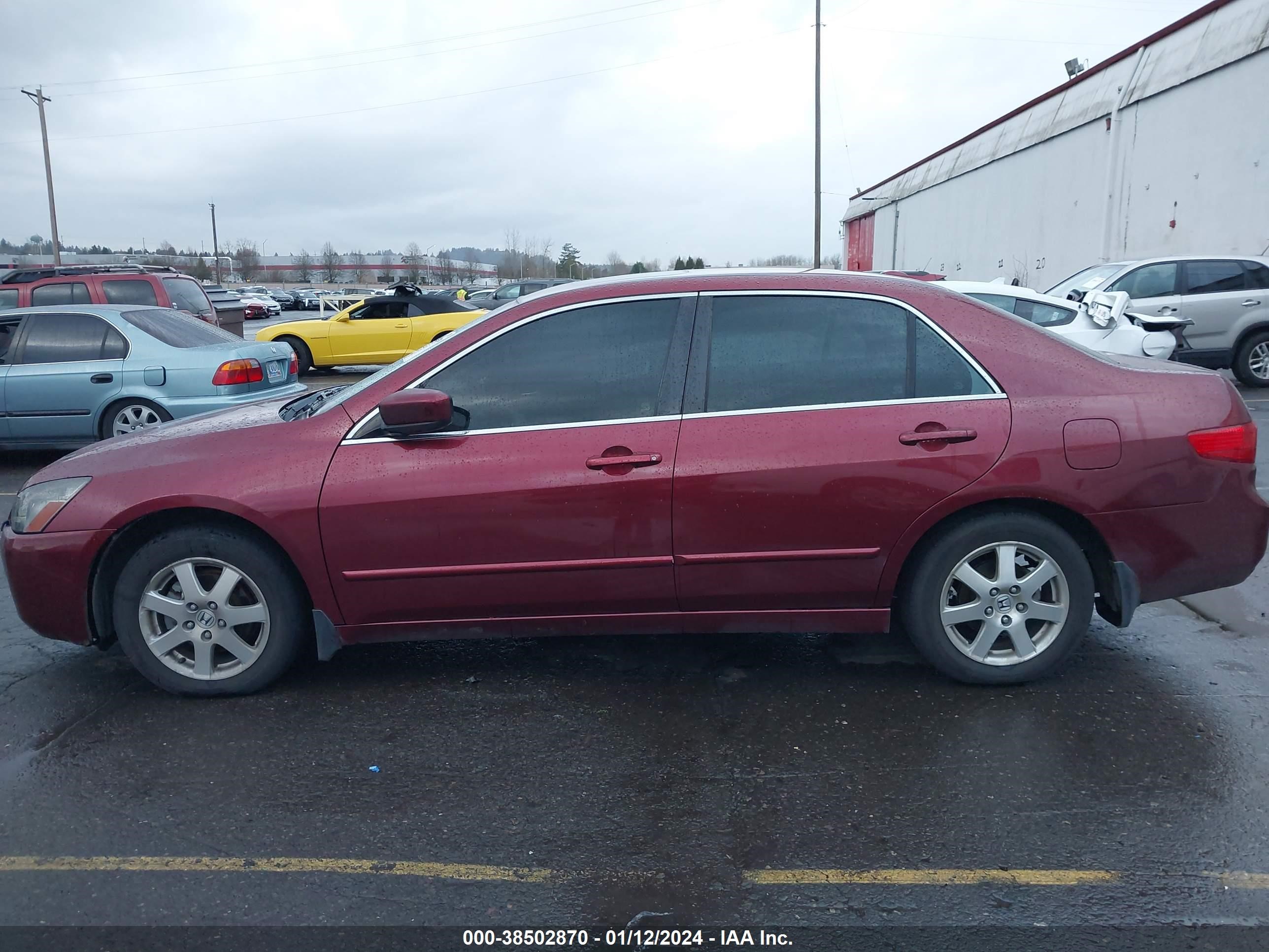 Photo 13 VIN: 1HGCM66505A040816 - HONDA ACCORD 