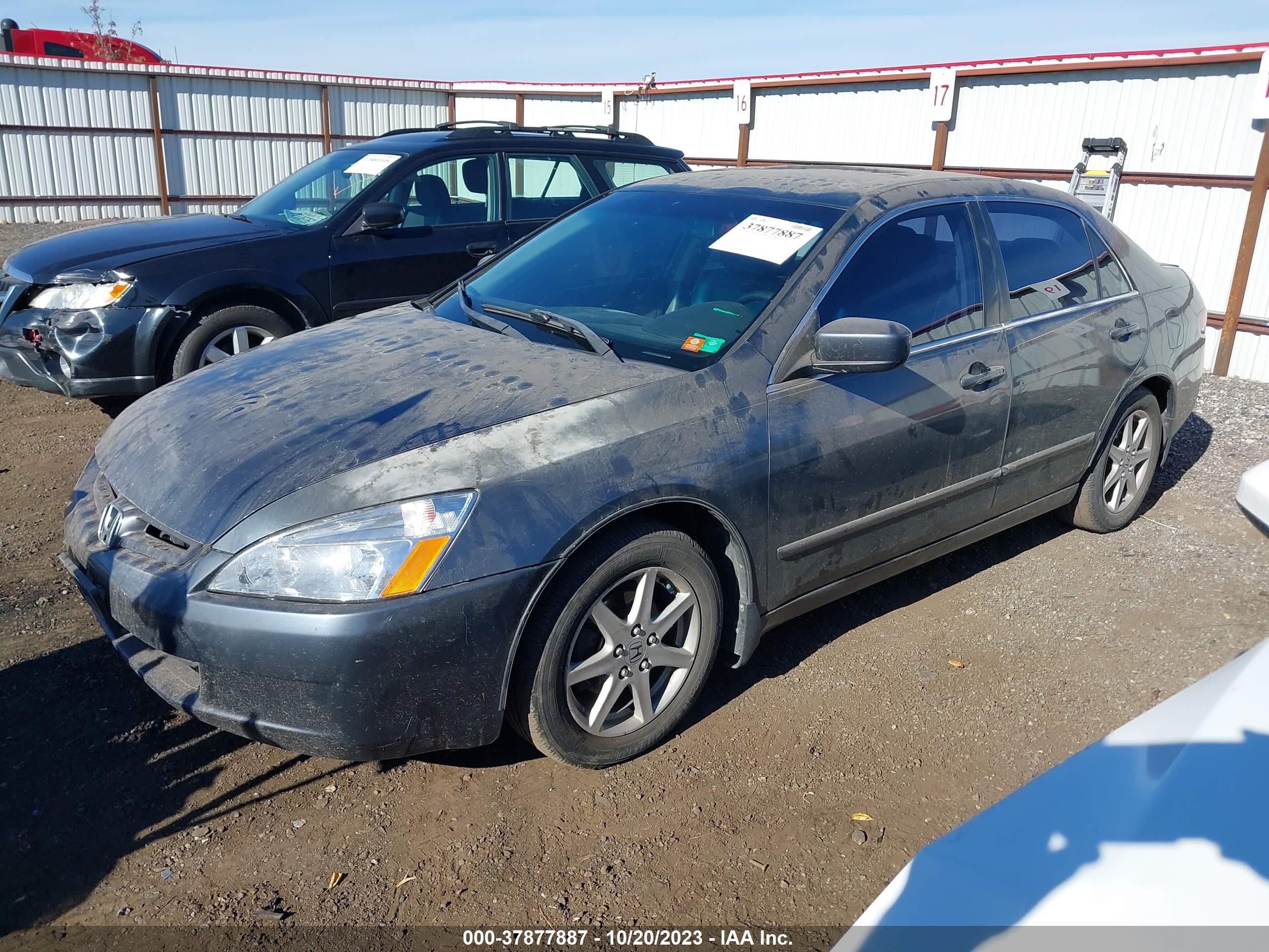 Photo 1 VIN: 1HGCM66513A074793 - HONDA ACCORD 