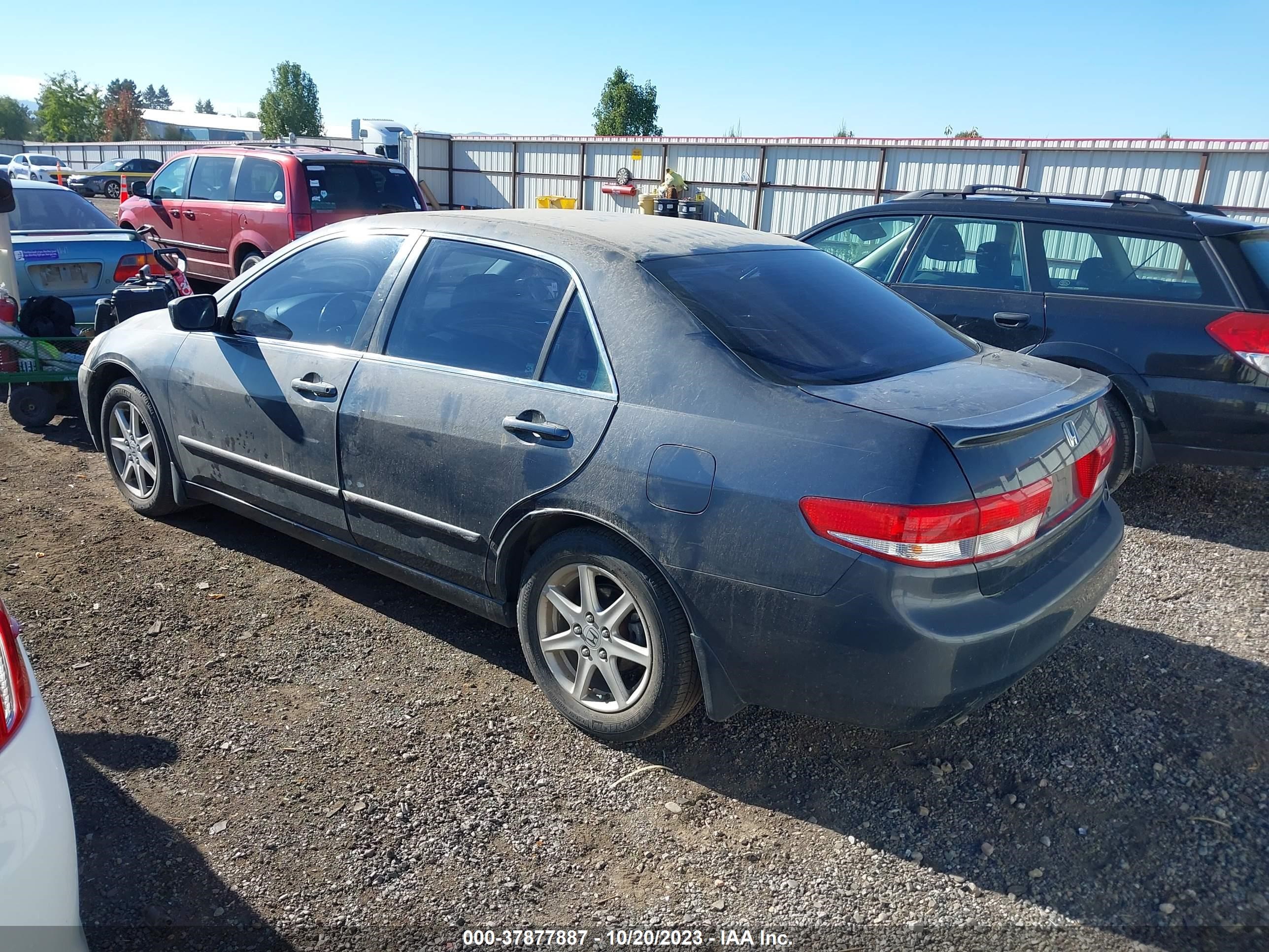 Photo 2 VIN: 1HGCM66513A074793 - HONDA ACCORD 