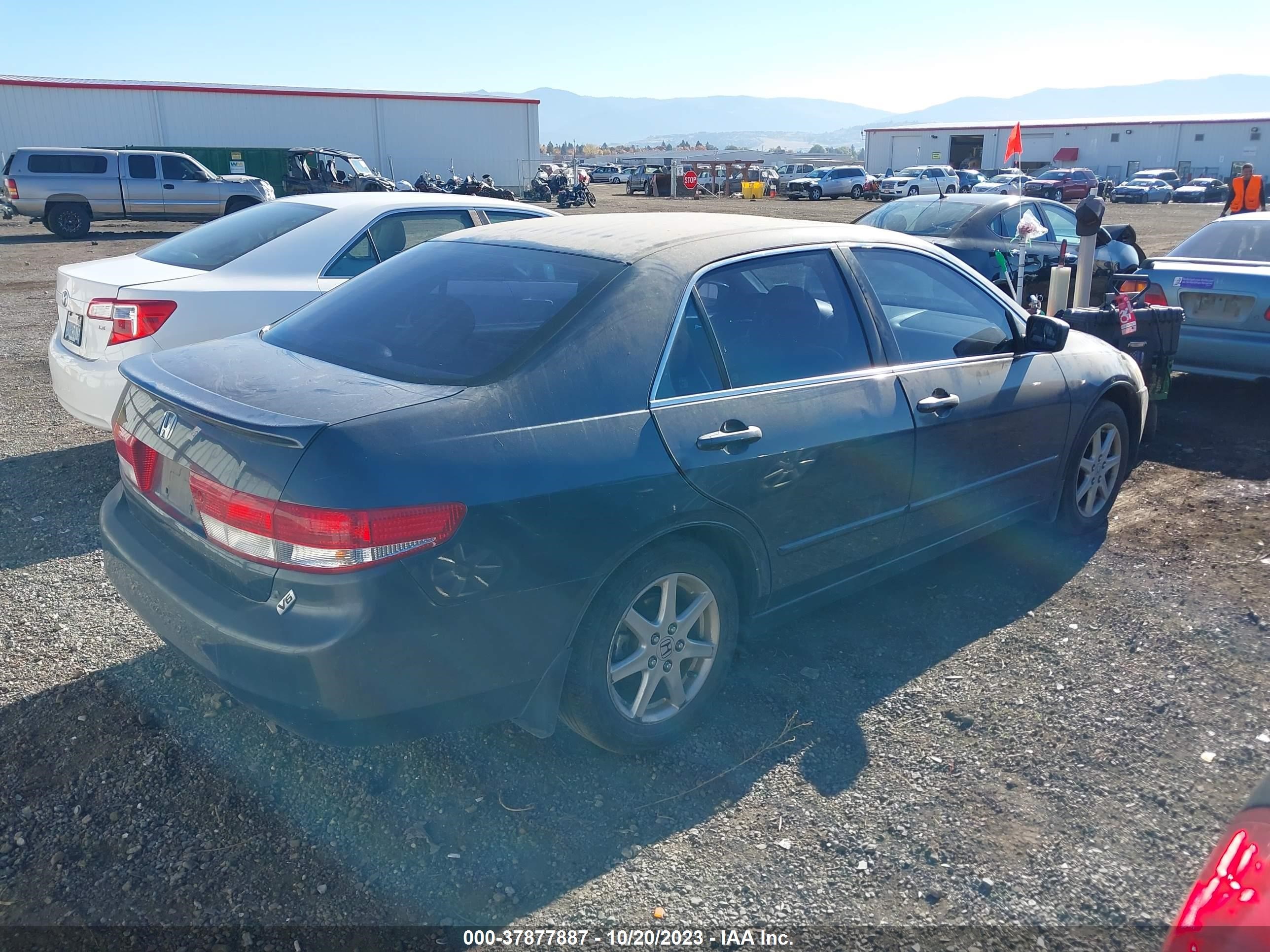 Photo 3 VIN: 1HGCM66513A074793 - HONDA ACCORD 