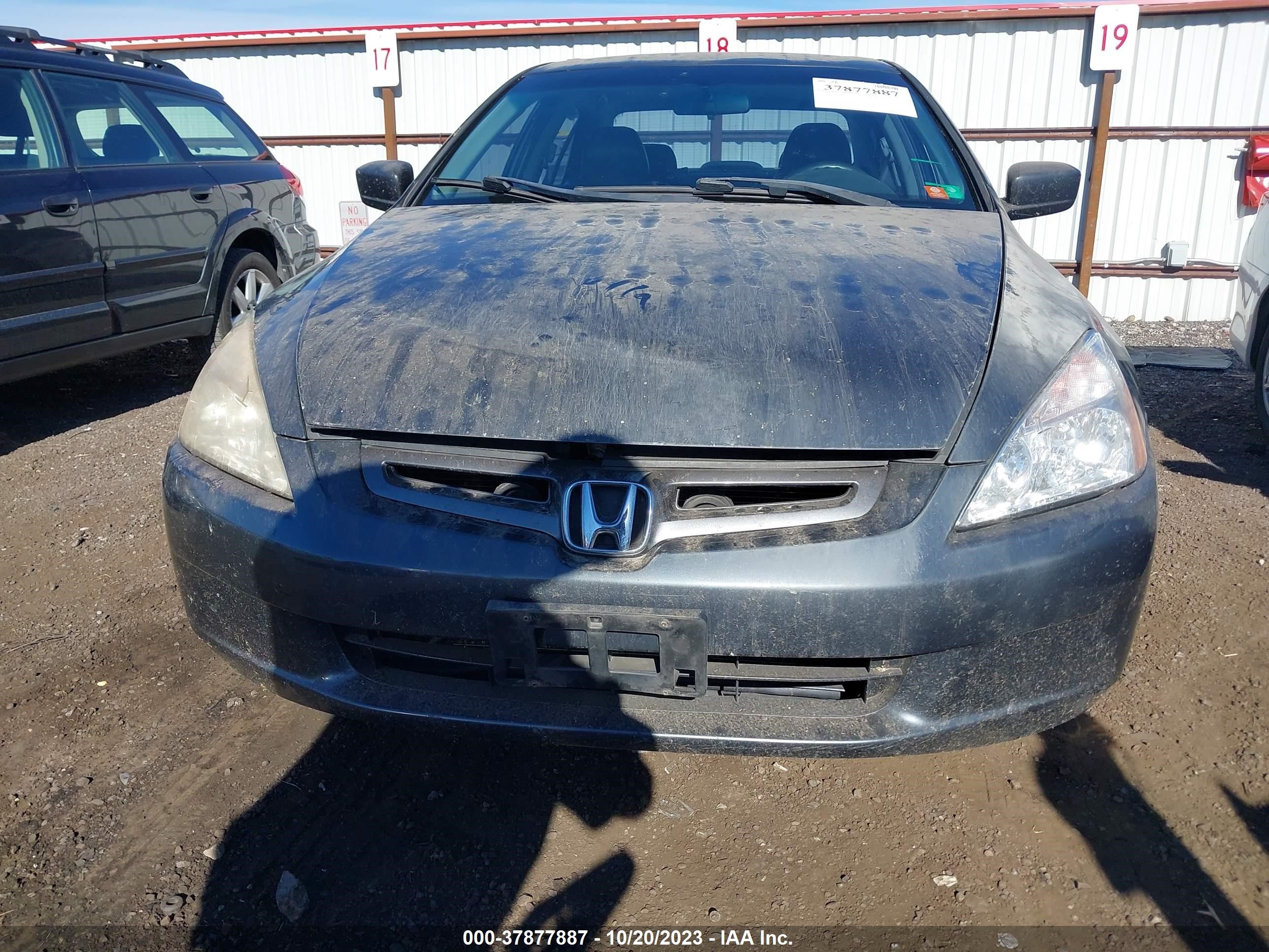 Photo 5 VIN: 1HGCM66513A074793 - HONDA ACCORD 