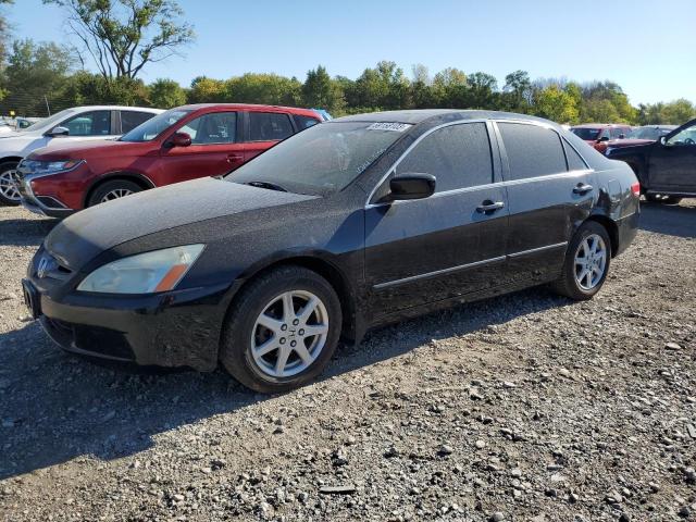 Photo 0 VIN: 1HGCM66514A097878 - HONDA ACCORD EX 