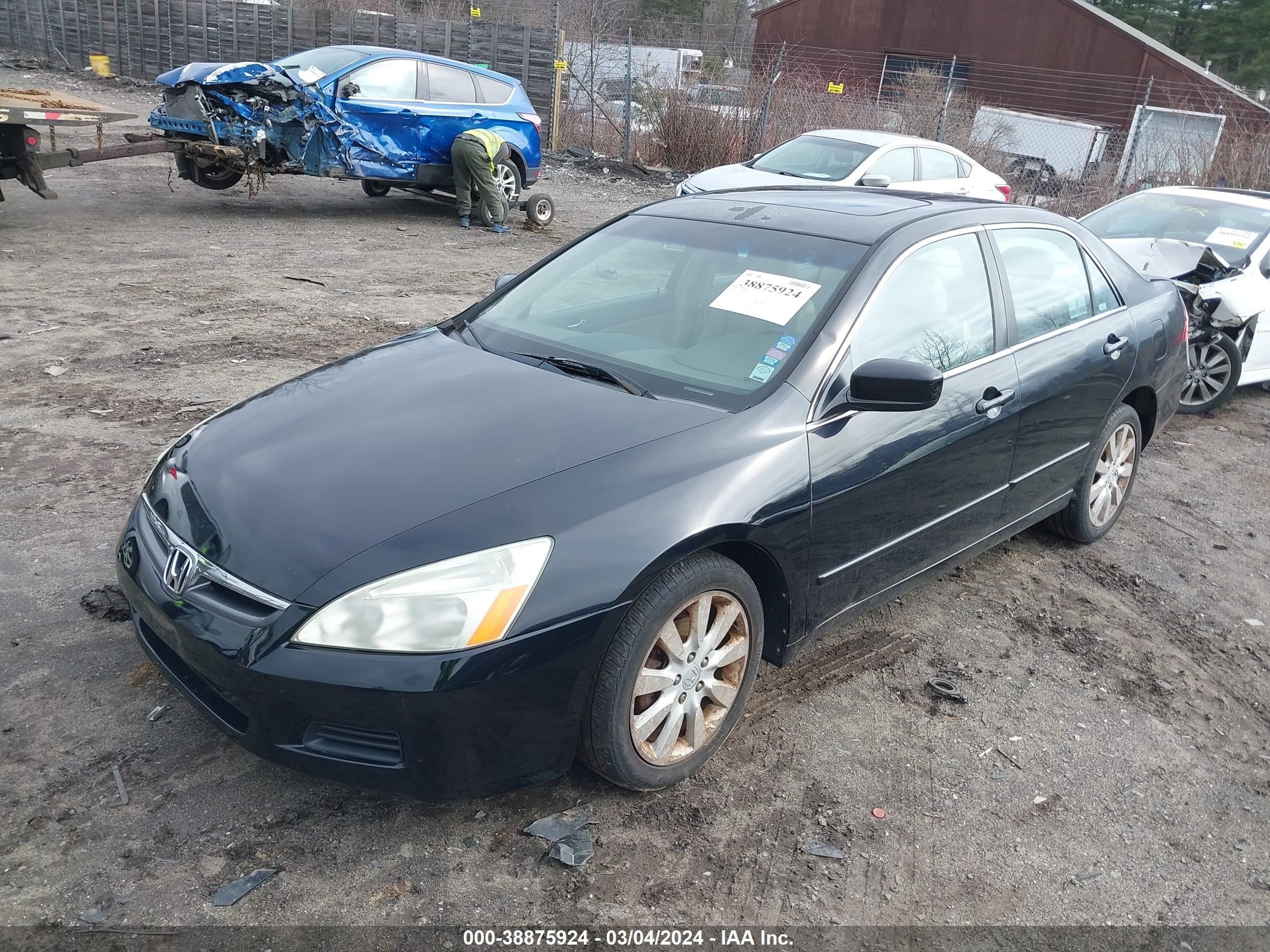 Photo 1 VIN: 1HGCM66516A066648 - HONDA ACCORD 