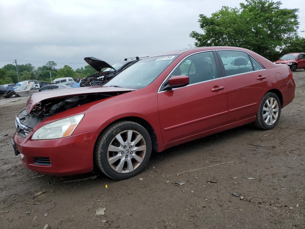 Photo 0 VIN: 1HGCM66517A050015 - HONDA ACCORD 