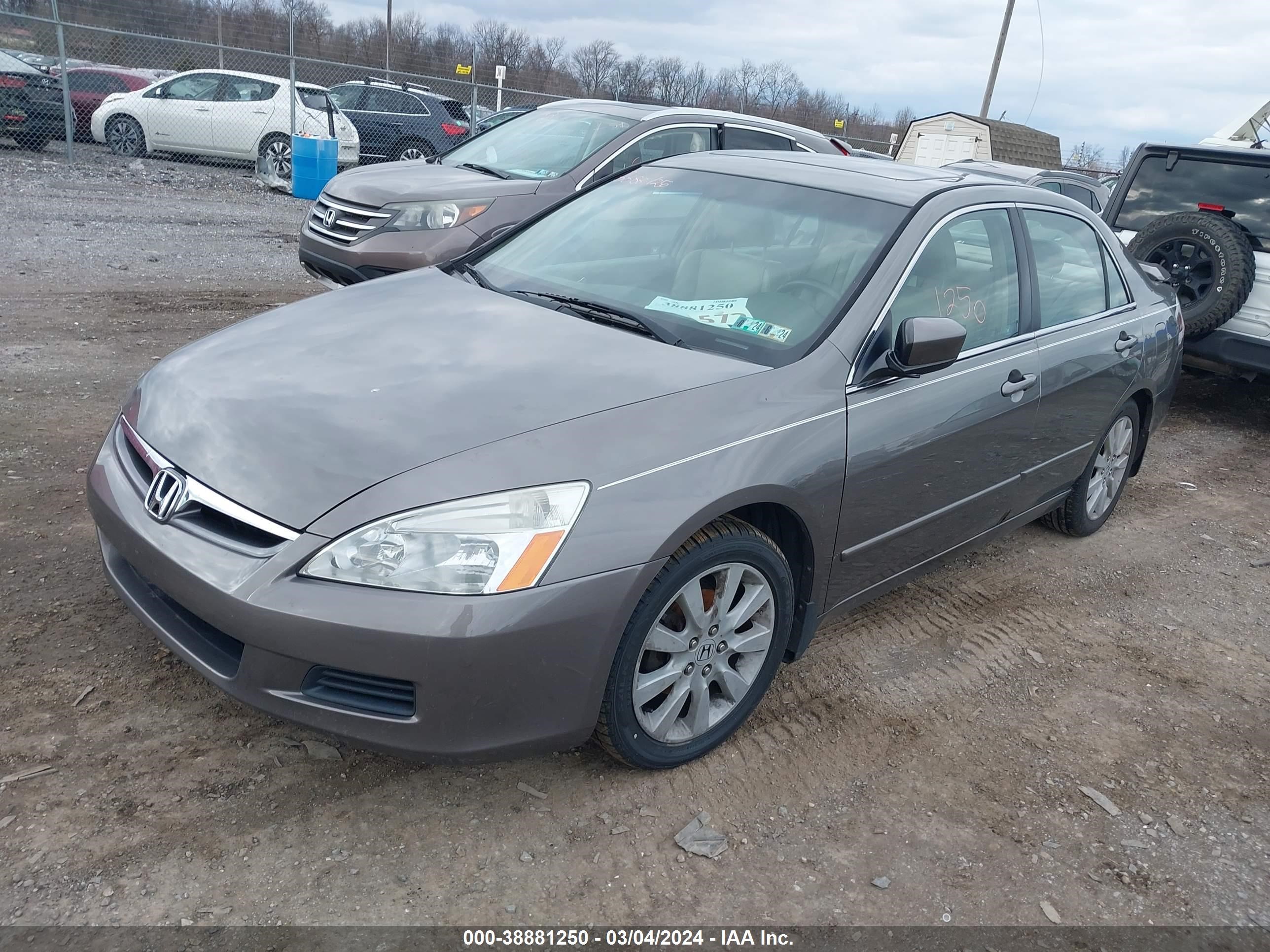 Photo 1 VIN: 1HGCM66517A084133 - HONDA ACCORD 