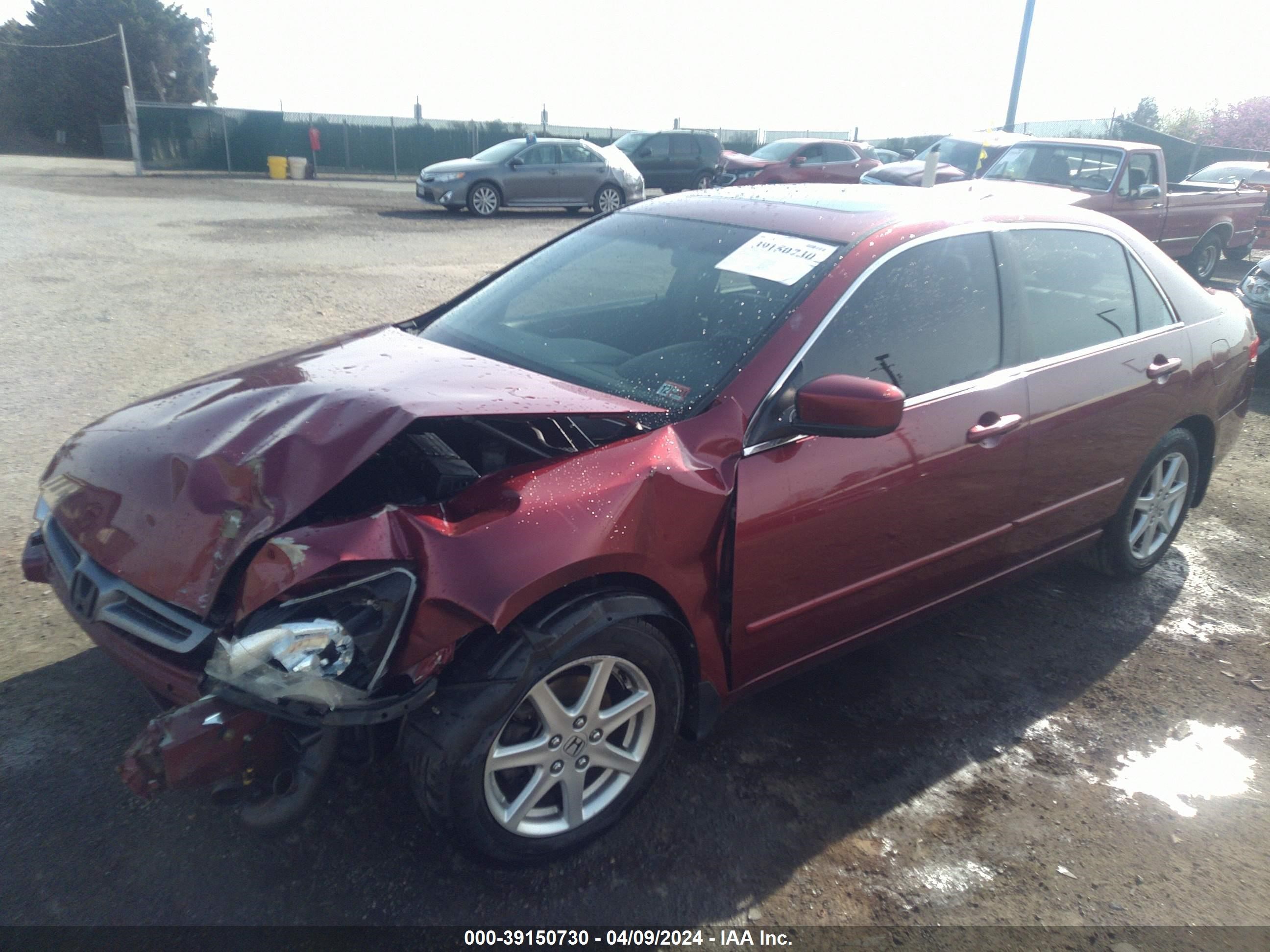 Photo 1 VIN: 1HGCM66524A024146 - HONDA ACCORD 