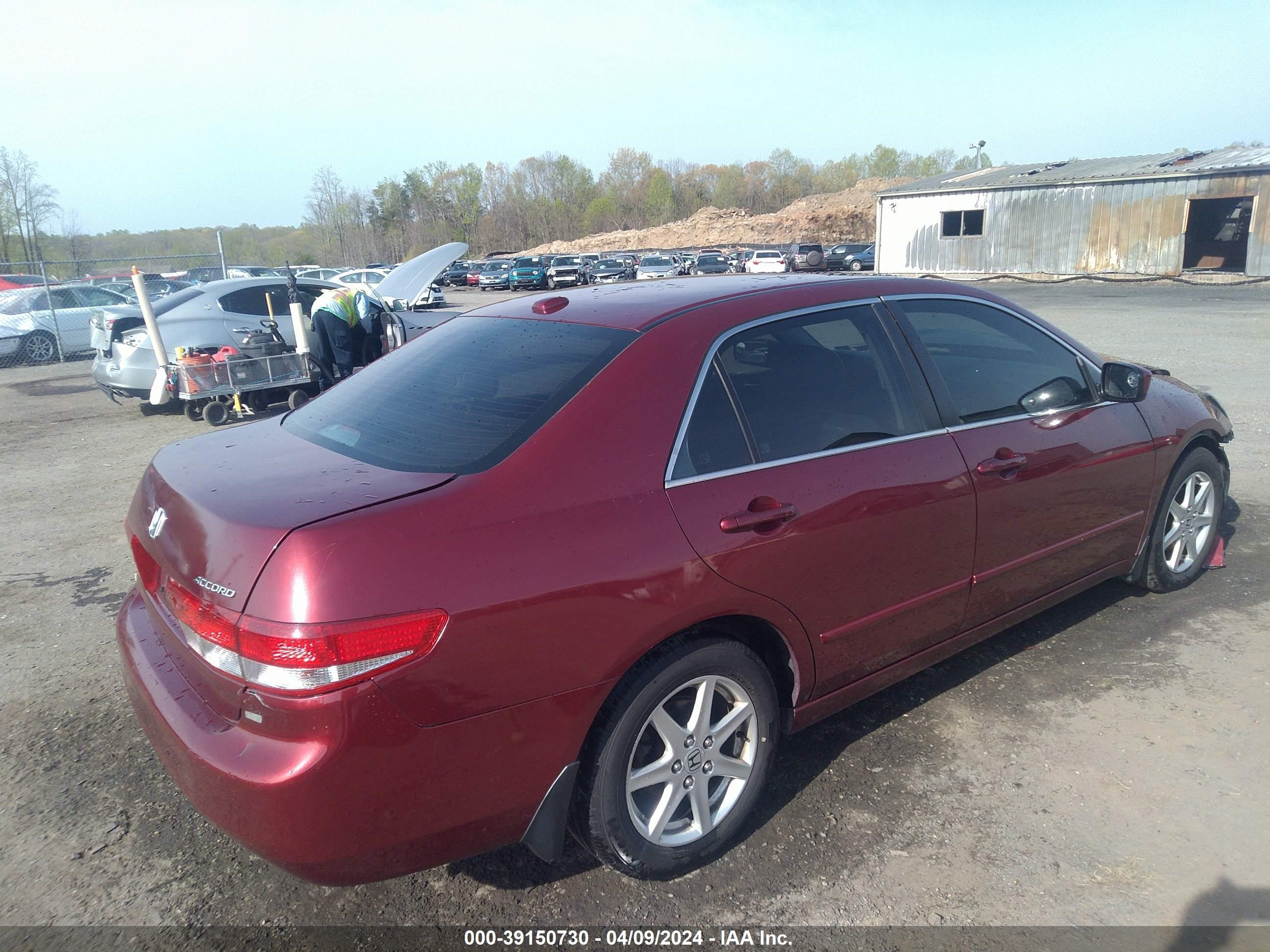 Photo 3 VIN: 1HGCM66524A024146 - HONDA ACCORD 