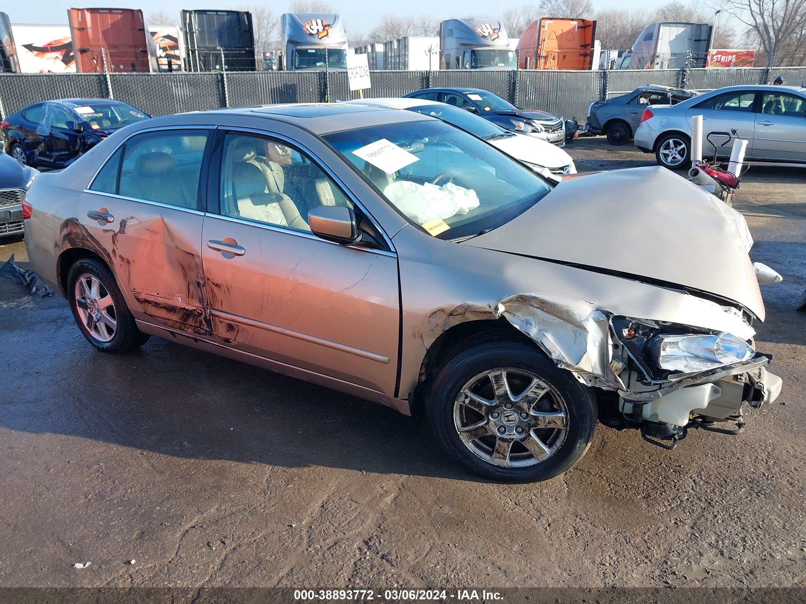 Photo 12 VIN: 1HGCM66525A035648 - HONDA ACCORD 