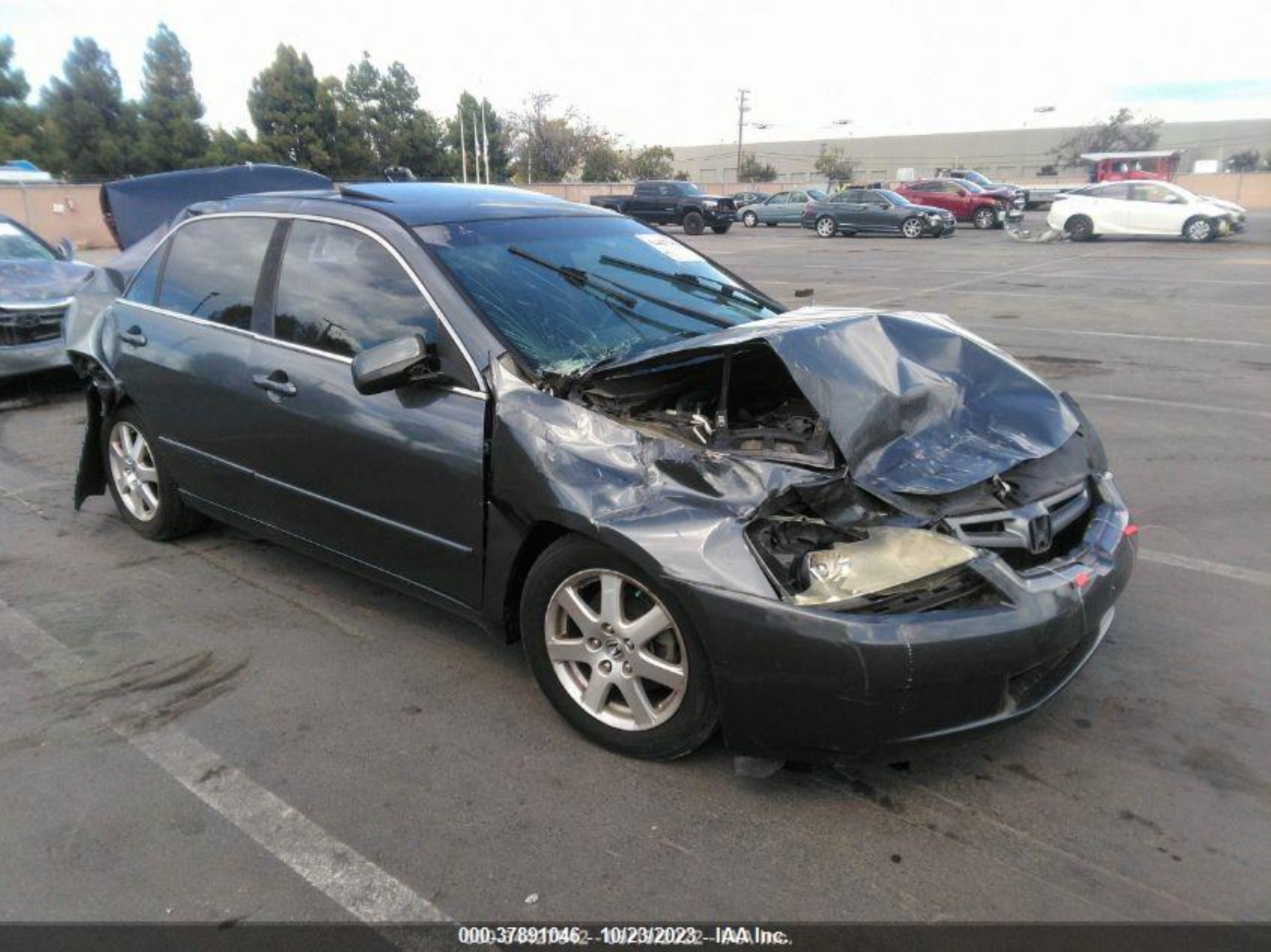 Photo 0 VIN: 1HGCM66525A037321 - HONDA ACCORD 