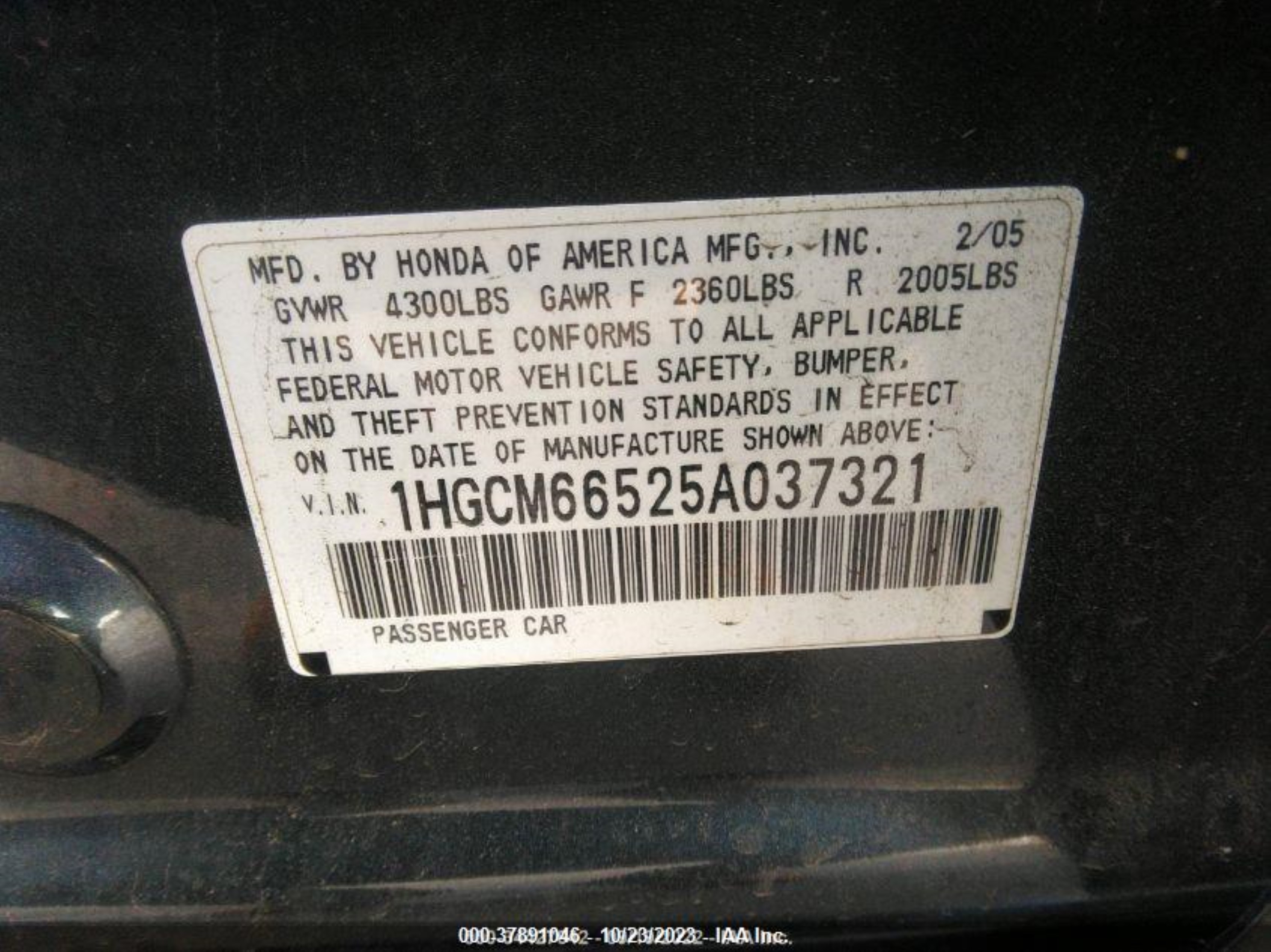 Photo 8 VIN: 1HGCM66525A037321 - HONDA ACCORD 