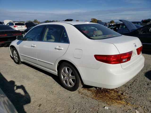 Photo 1 VIN: 1HGCM66525A039926 - HONDA ACCORD 