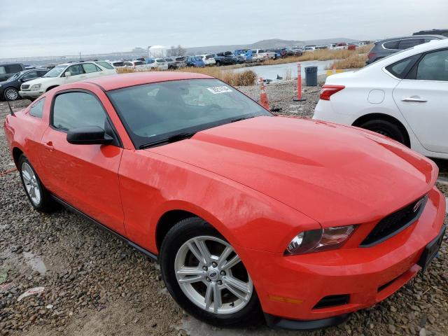 Photo 3 VIN: 1HGCM66543A002311 - FORD MUSTANG 