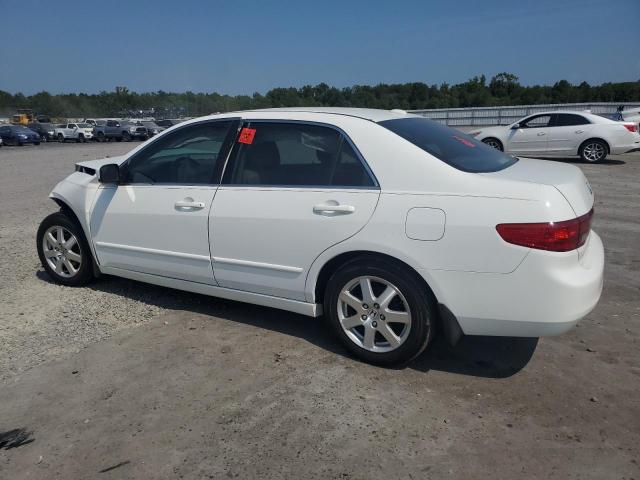 Photo 1 VIN: 1HGCM66545A072006 - HONDA ACCORD EX 