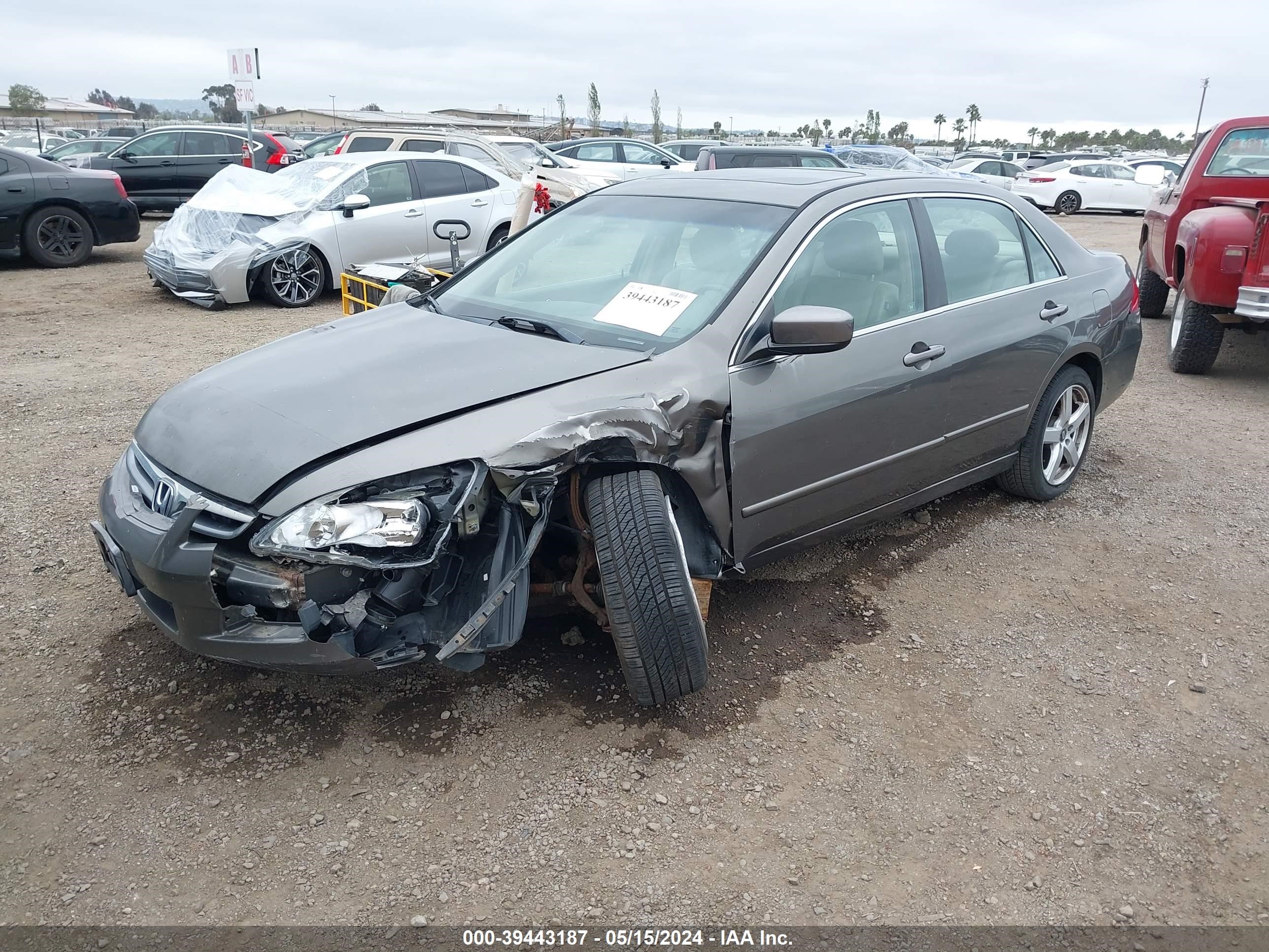 Photo 1 VIN: 1HGCM66546A003155 - HONDA ACCORD 