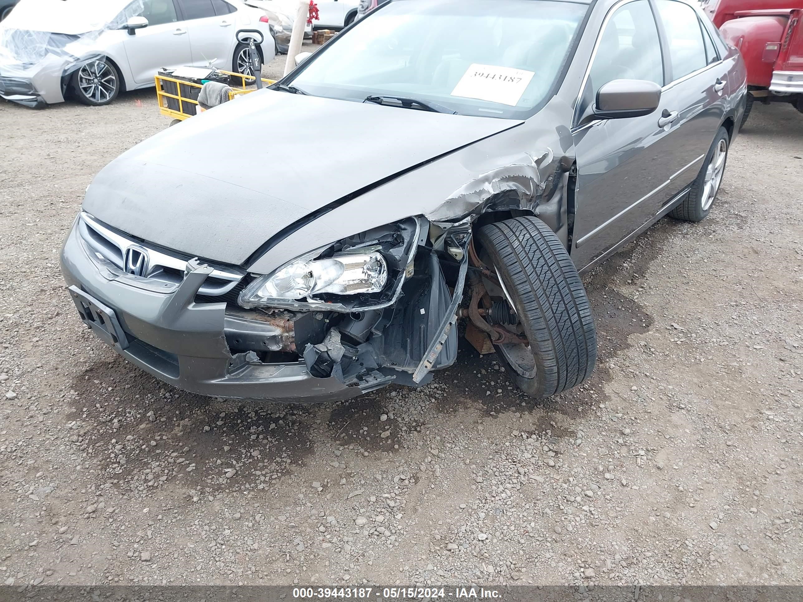 Photo 5 VIN: 1HGCM66546A003155 - HONDA ACCORD 