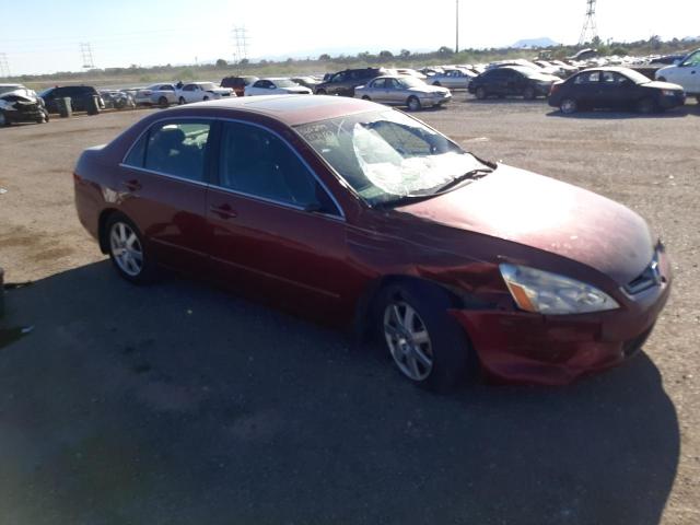 Photo 3 VIN: 1HGCM66555A008377 - HONDA ACCORD 