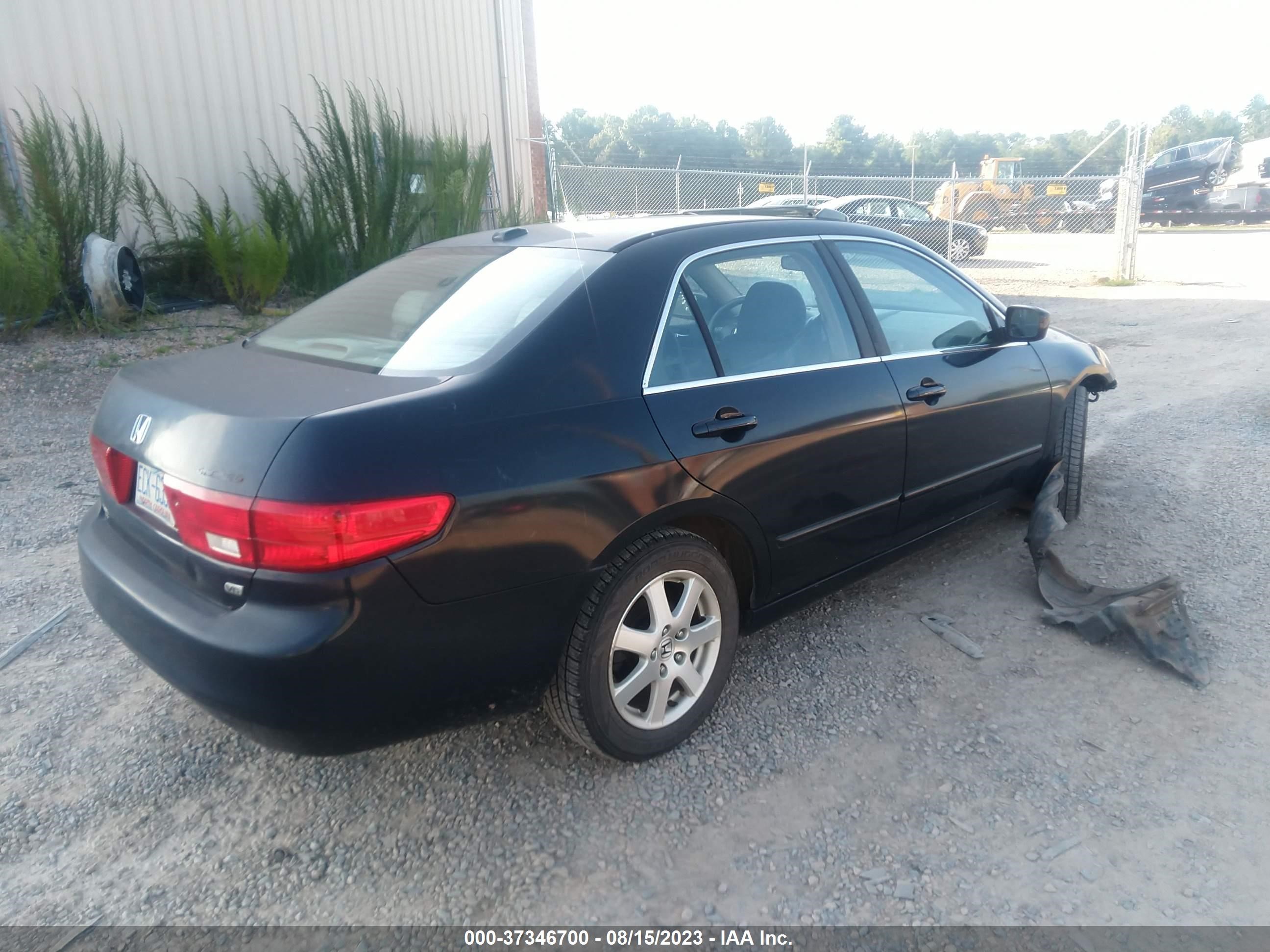 Photo 3 VIN: 1HGCM66555A076405 - HONDA ACCORD 