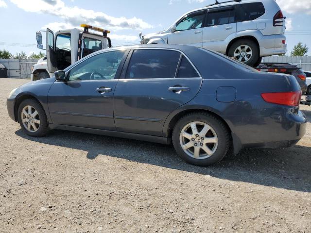 Photo 1 VIN: 1HGCM66555A803784 - HONDA ACCORD 