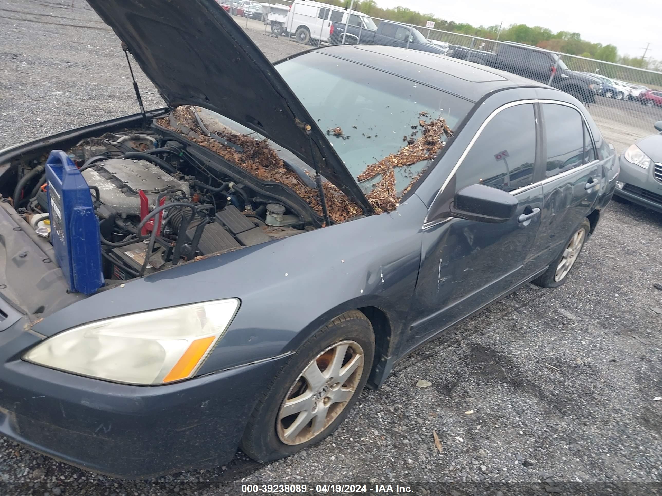 Photo 1 VIN: 1HGCM66565A006699 - HONDA ACCORD 