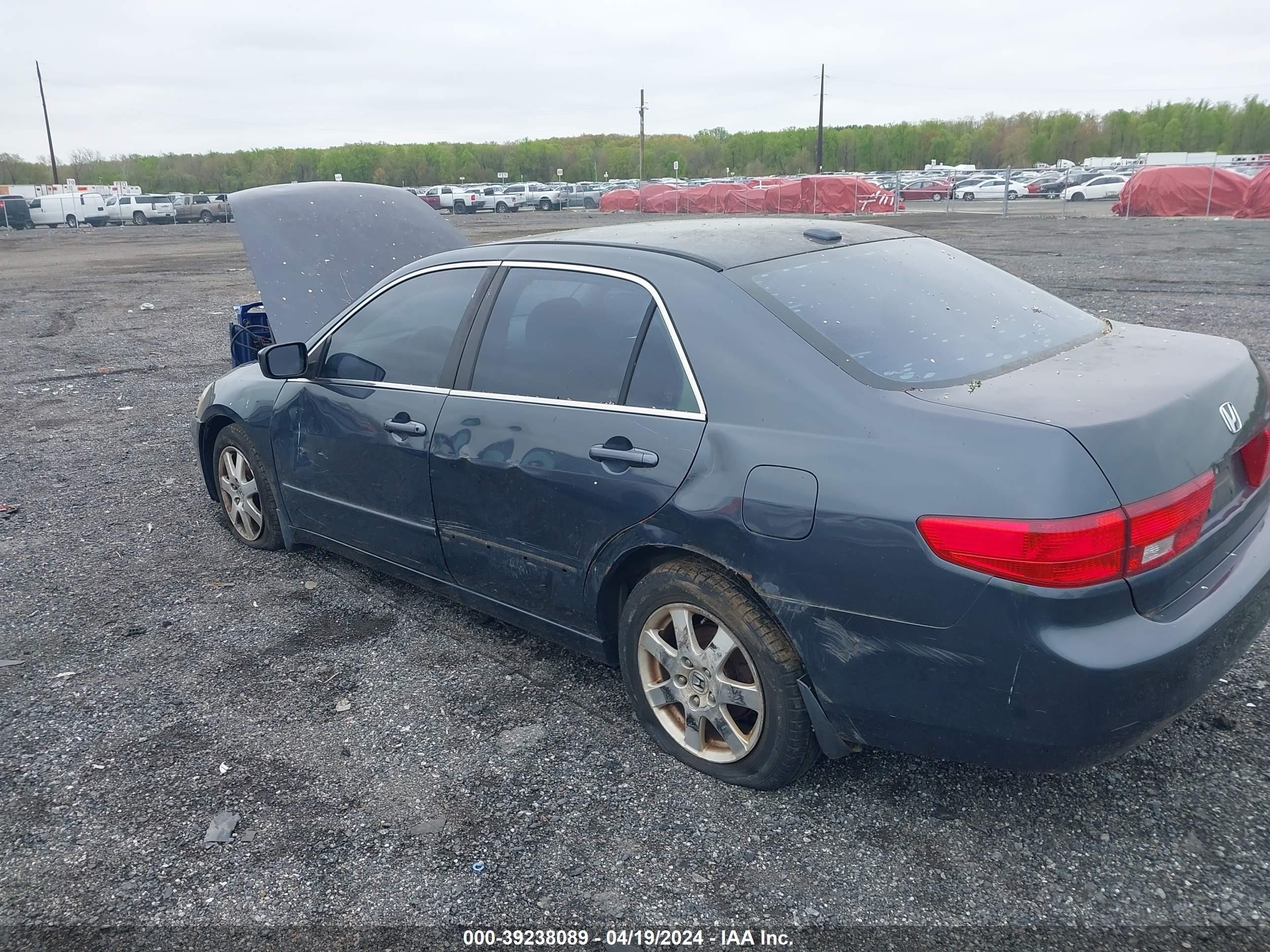 Photo 2 VIN: 1HGCM66565A006699 - HONDA ACCORD 