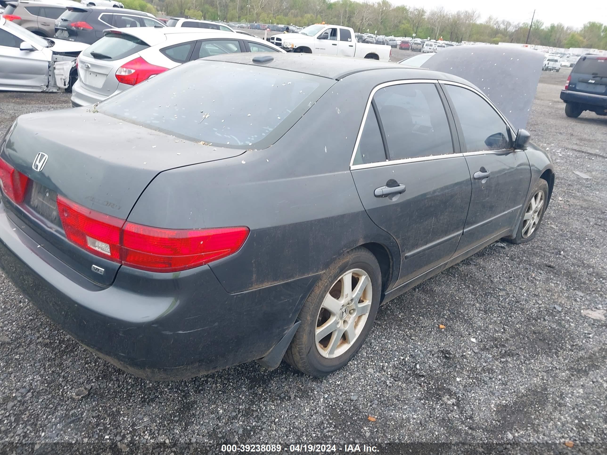 Photo 3 VIN: 1HGCM66565A006699 - HONDA ACCORD 