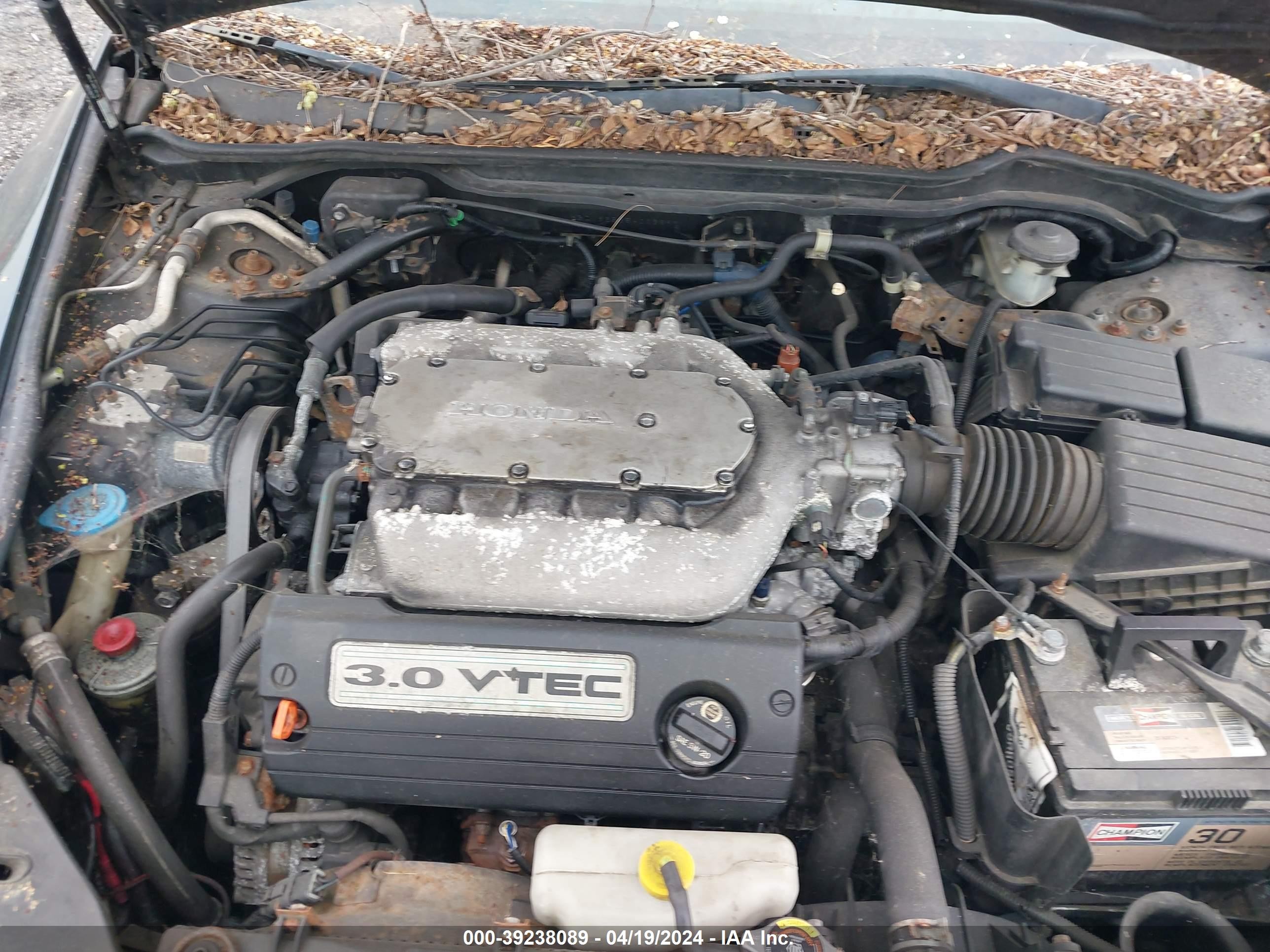 Photo 9 VIN: 1HGCM66565A006699 - HONDA ACCORD 