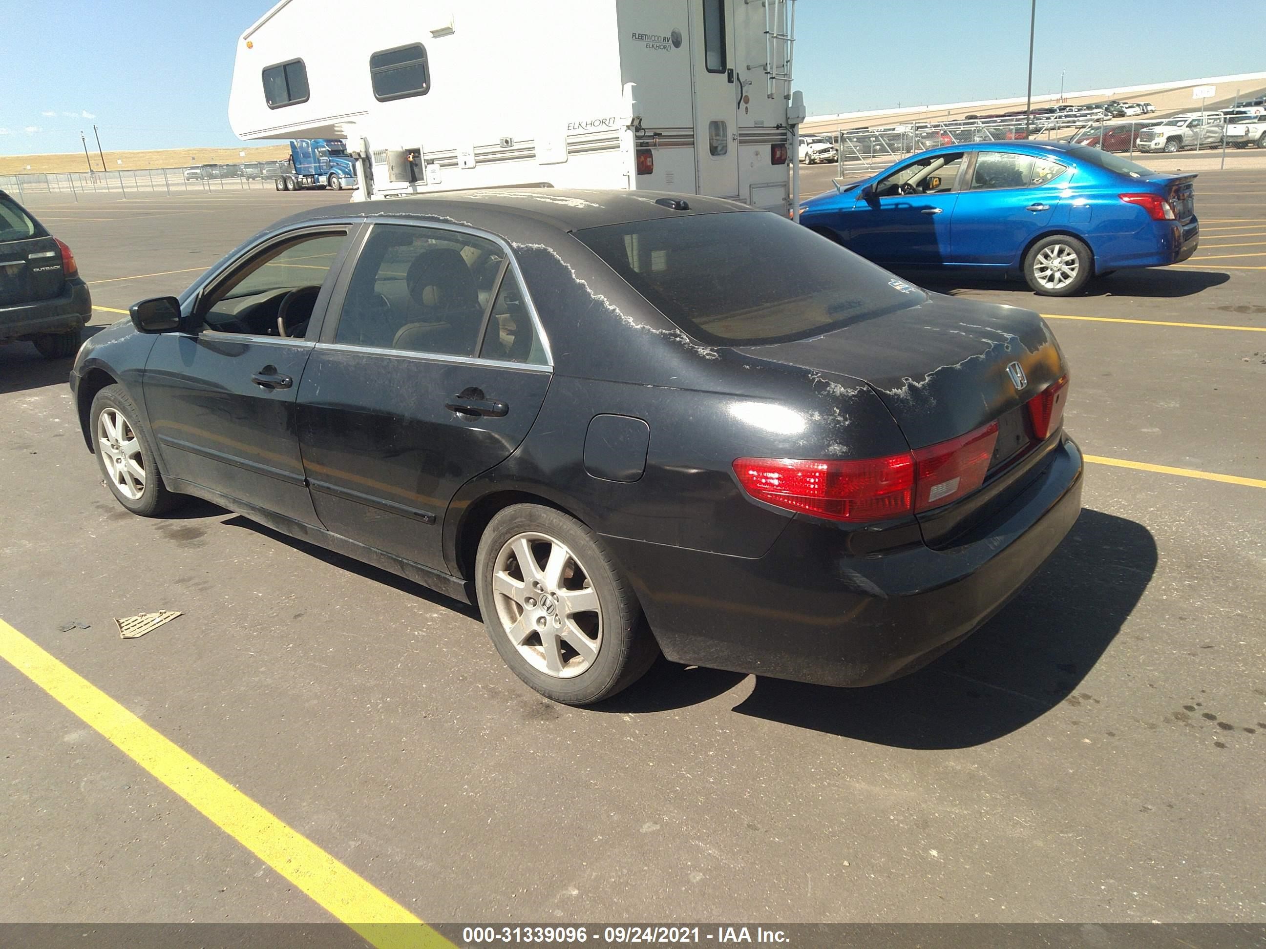 Photo 3 VIN: 1HGCM66565A024863 - HONDA ACCORD 