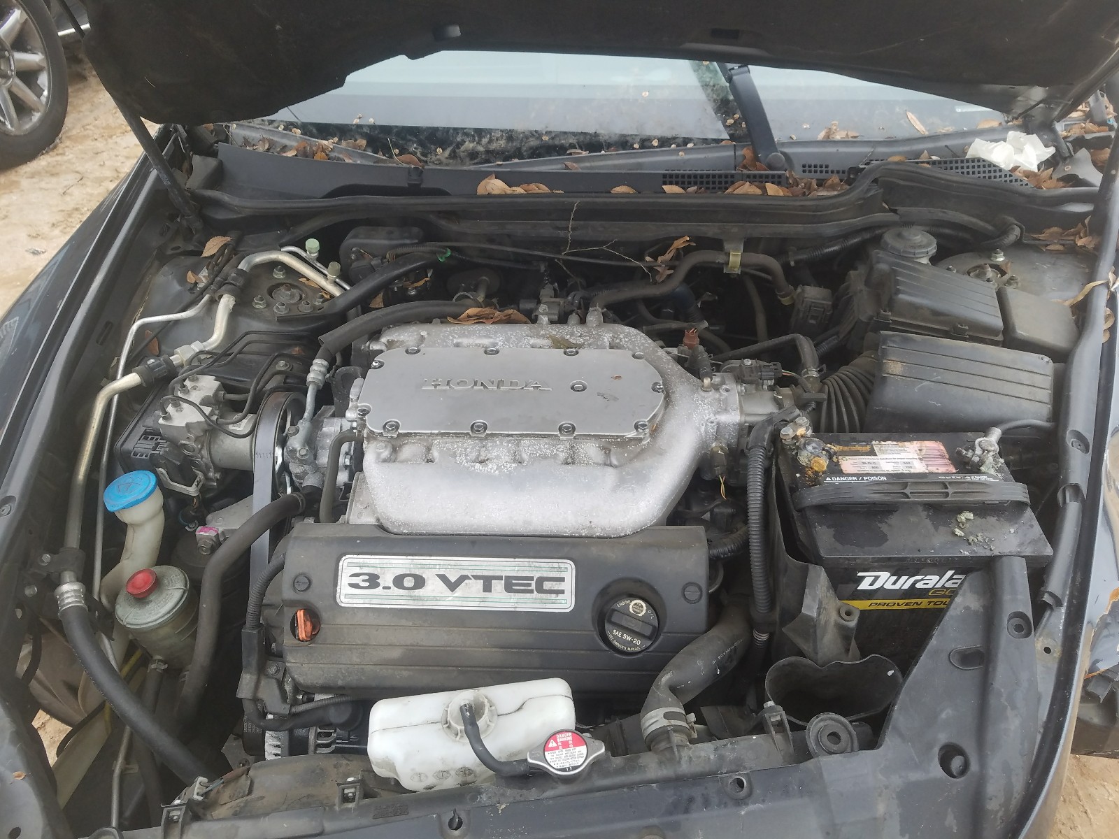 Photo 6 VIN: 1HGCM66567A048115 - HONDA ACCORD EX 